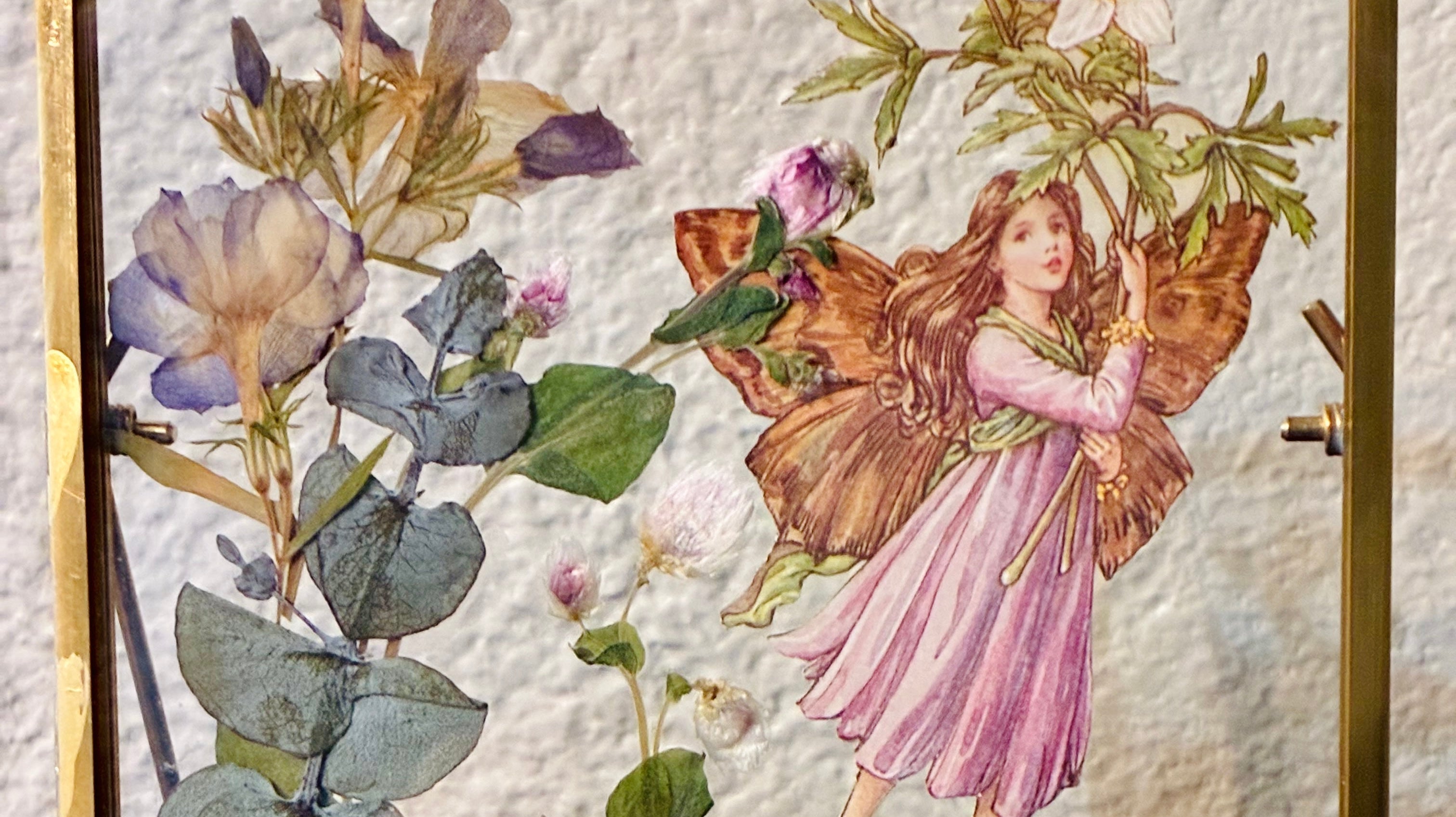 How to Grow & Press: Foolproof Flowers to Press (Spring)