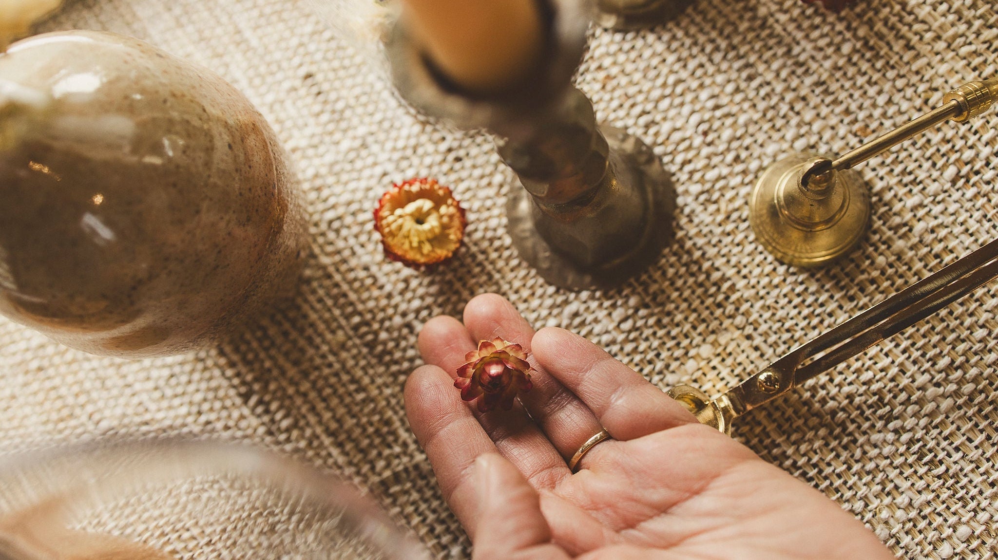 Orchid & Pine Dried Flowers