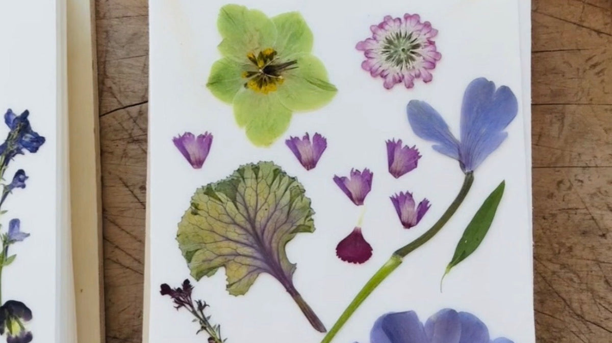What to plant now for spring flowers in your press