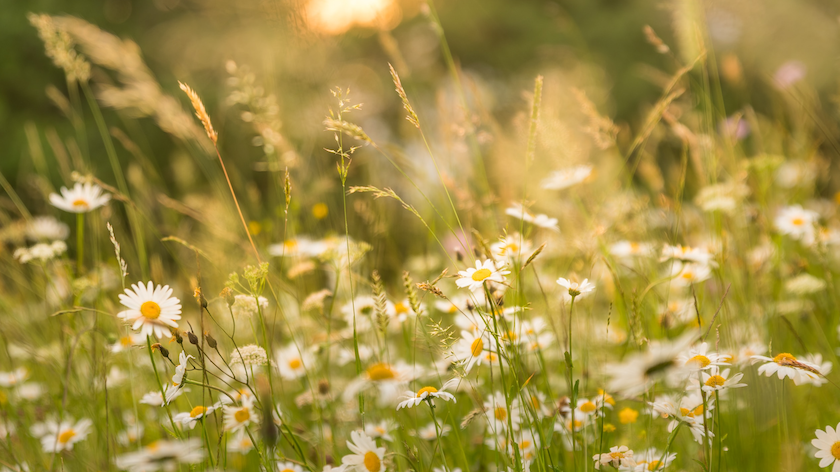 Creating a Space That Loves You Back: The Power of Intentional Design