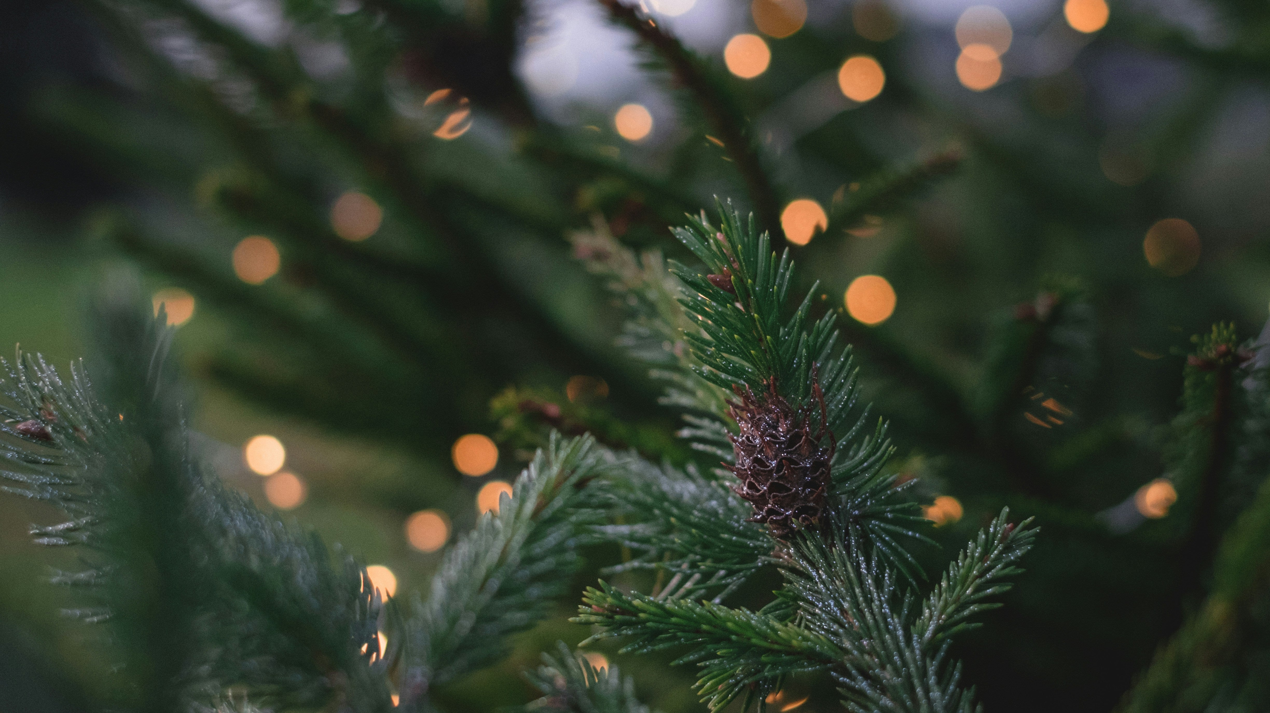 How to practice self-care during a busy season