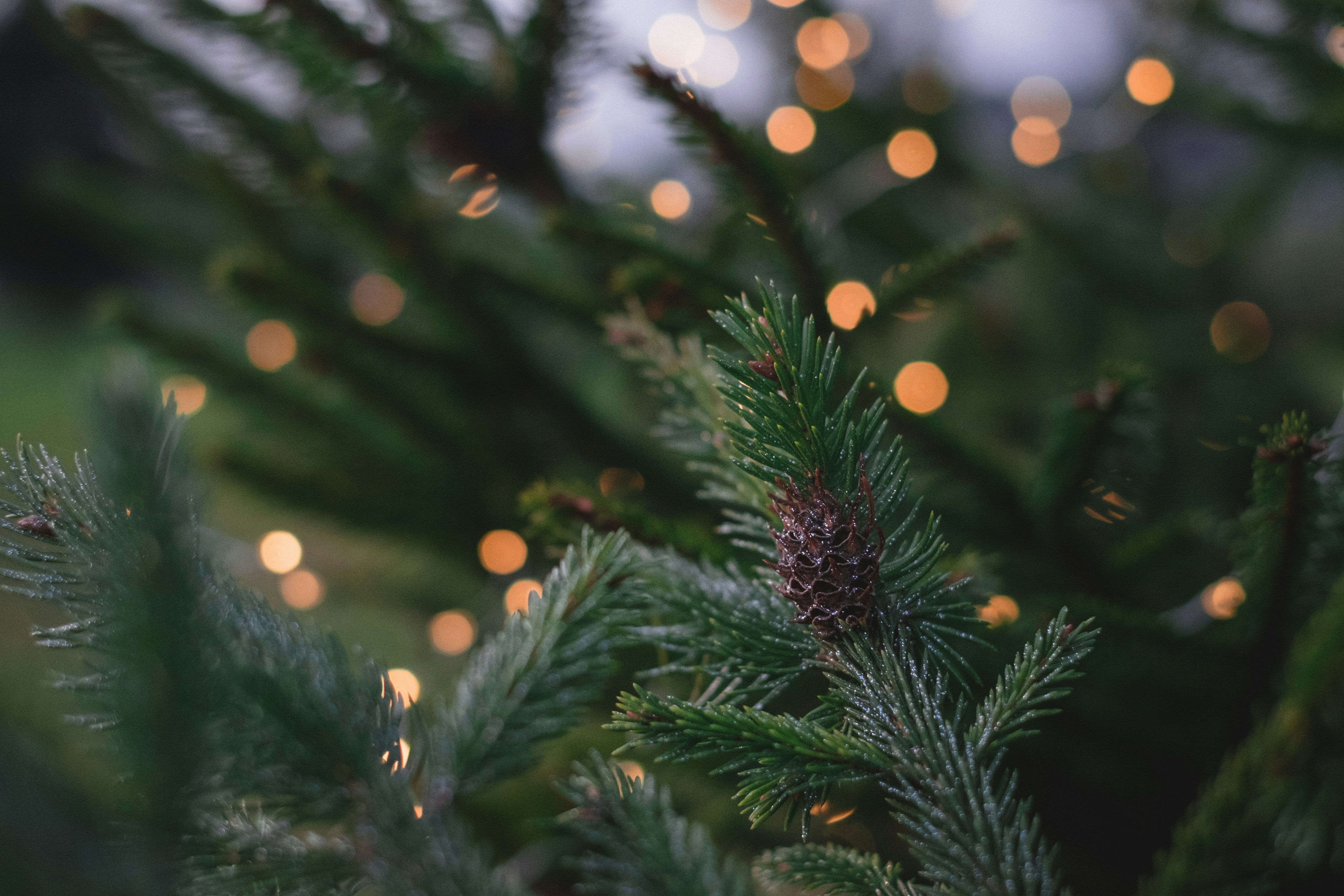 How to practice self-care during a busy season