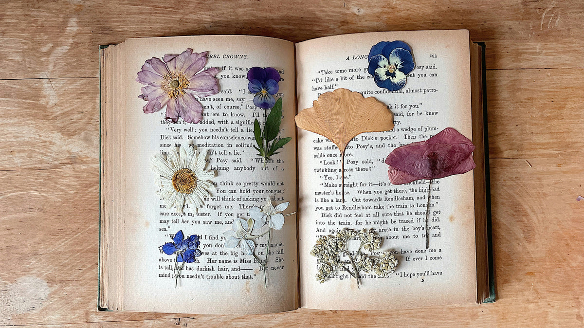What to plant now for spring flowers in your press