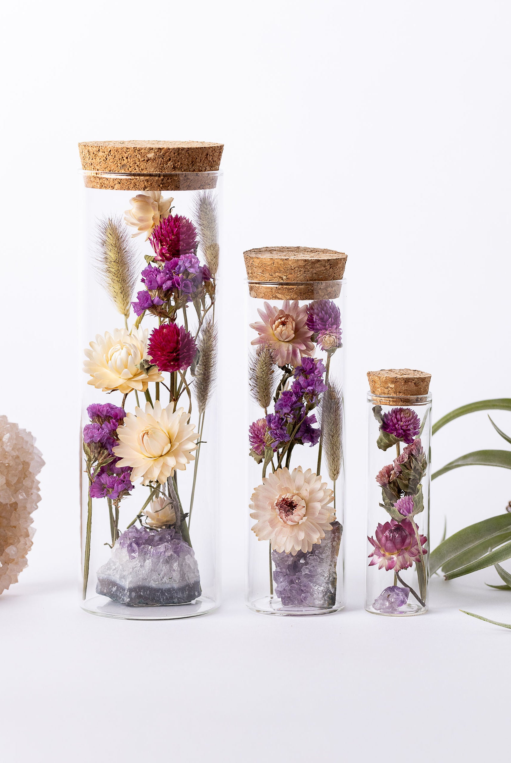 Dried Flower Herbarium - Amethyst Earth Vessel - Size comparison