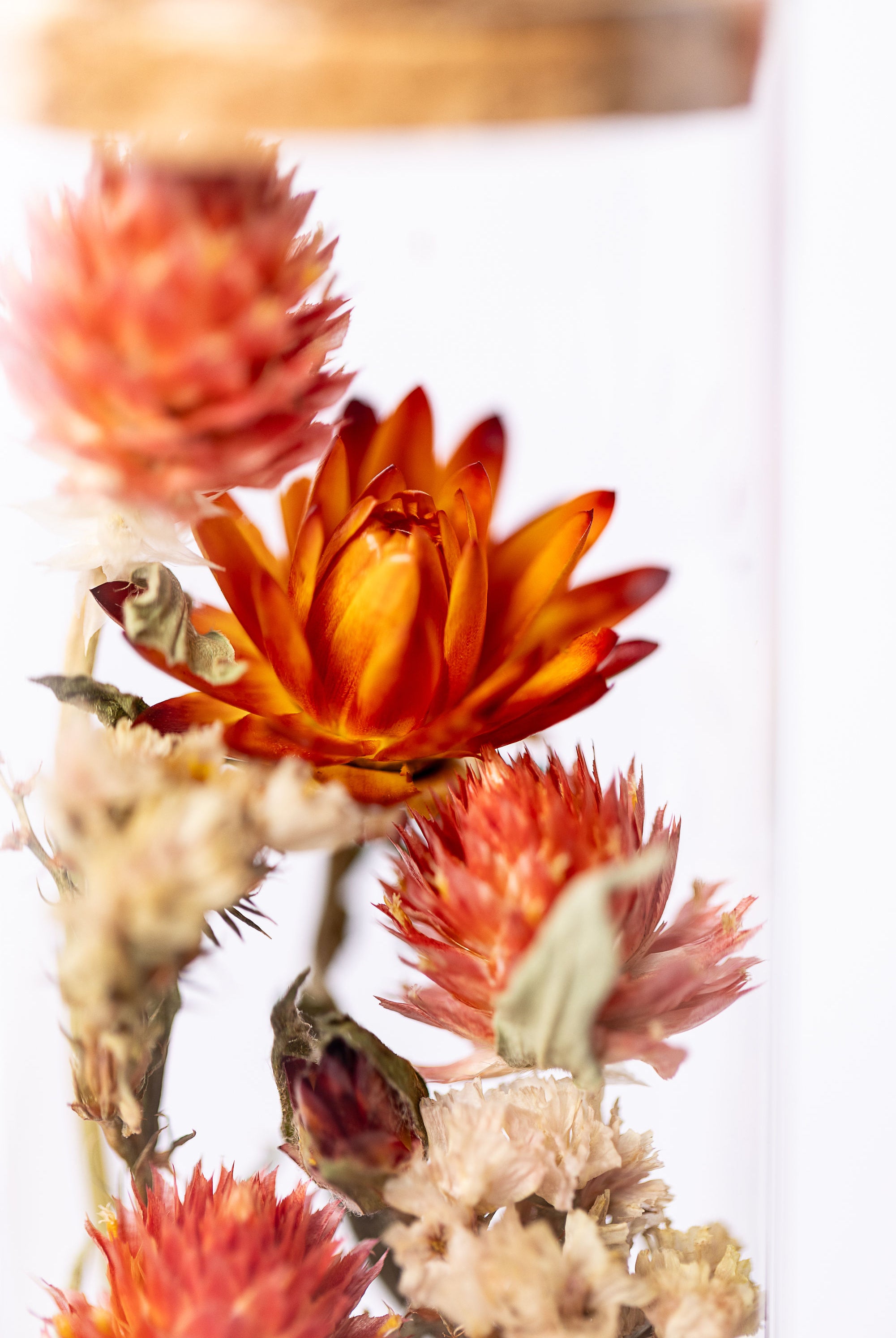 Dried Flower Herbarium - Aragonite Star Cluster Earth Vessel - medium -  flower detail