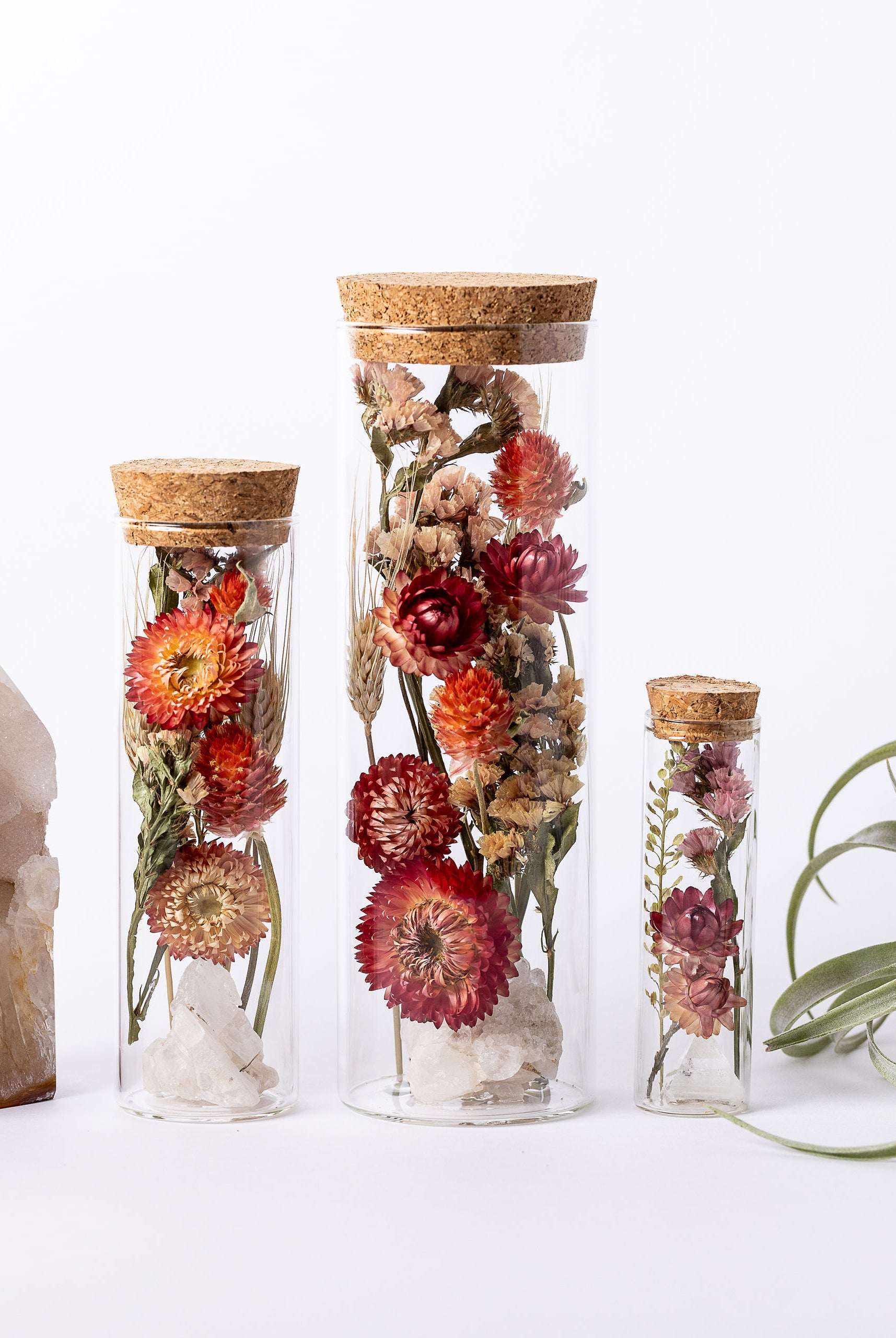 Dried Flower Herbarium - Clear Quartz Cluster Earth Vessel - Size comparison