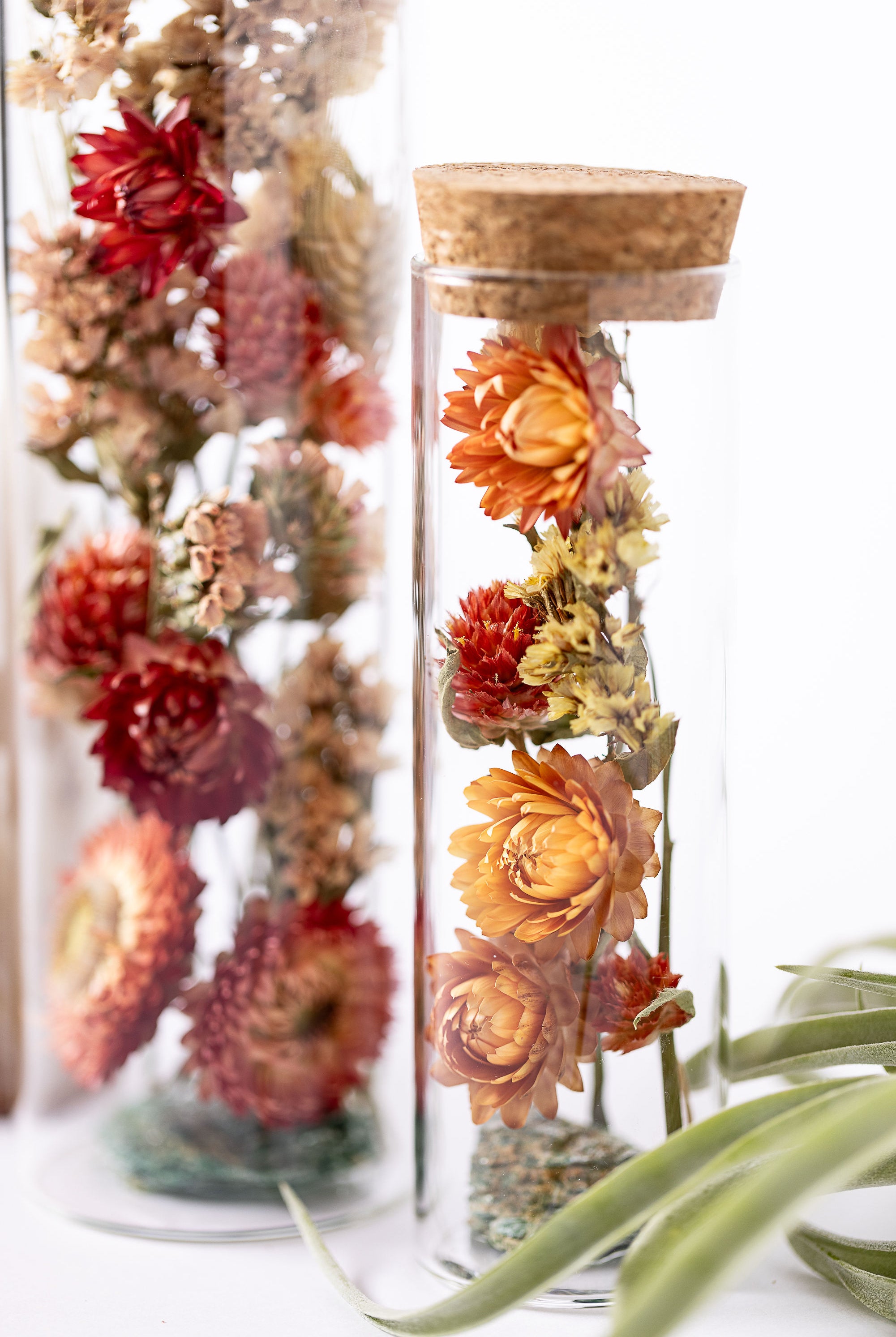 Dried Flower Herbarium - Fuchsite Earth Vessel - LARGE - two vessels