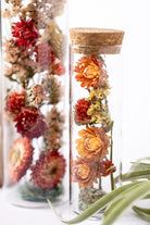 Dried Flower Herbarium - Fuchsite Earth Vessel - LARGE - two vessels