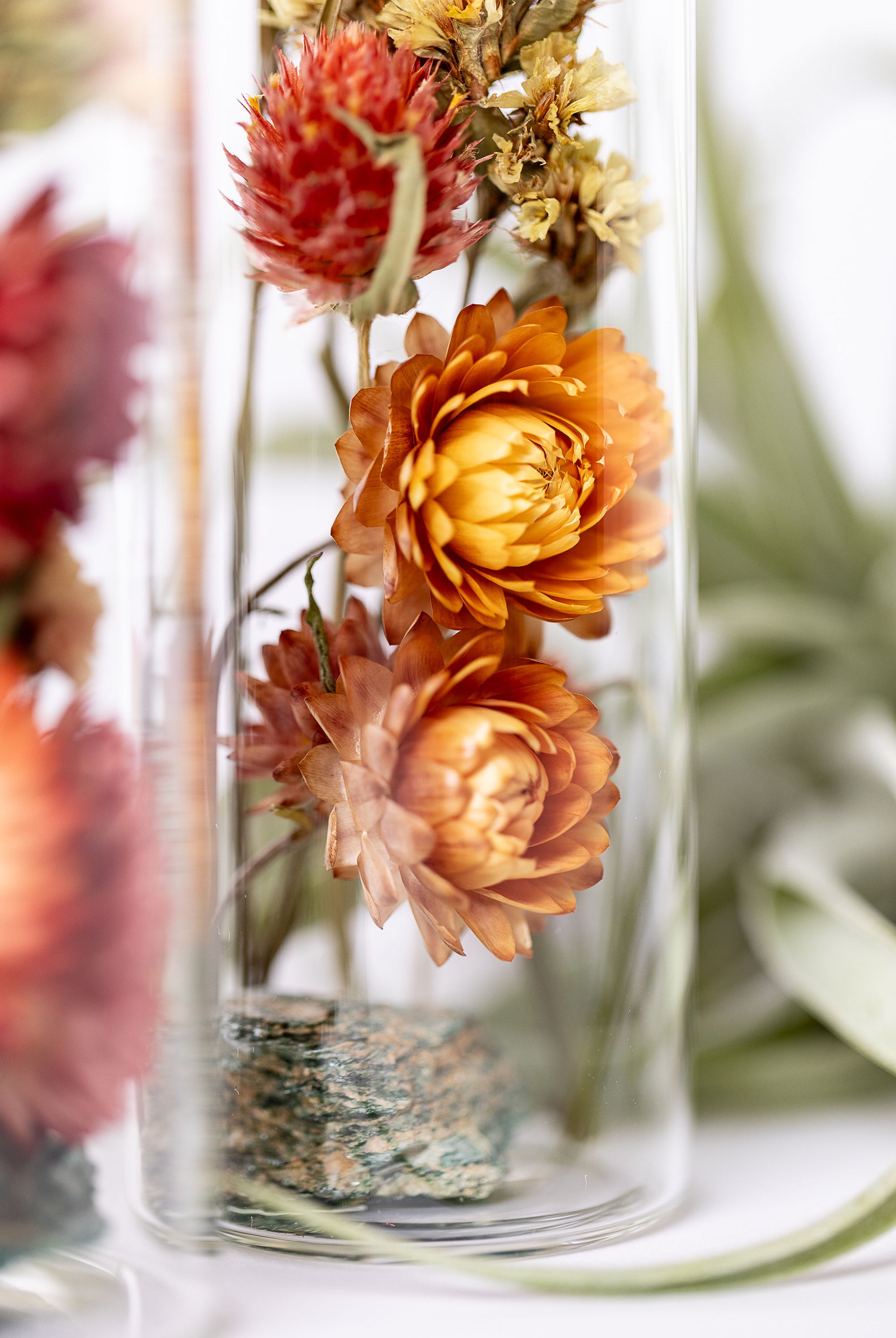 Dried Flower Herbarium - Fuchsite Earth Vessel - MEDIUM - product detail