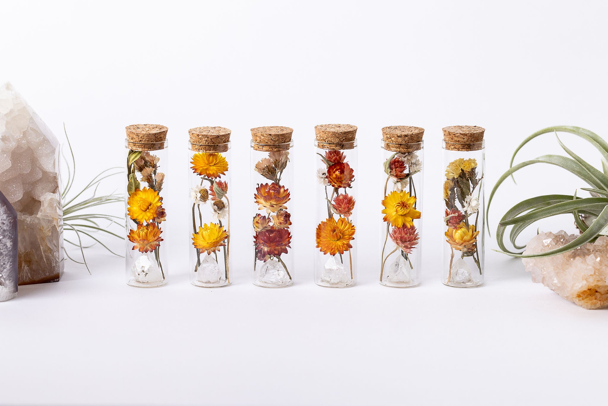 Dried Flower Herbarium - Apophyllite Earth Vessel - MINI - assorted flowers