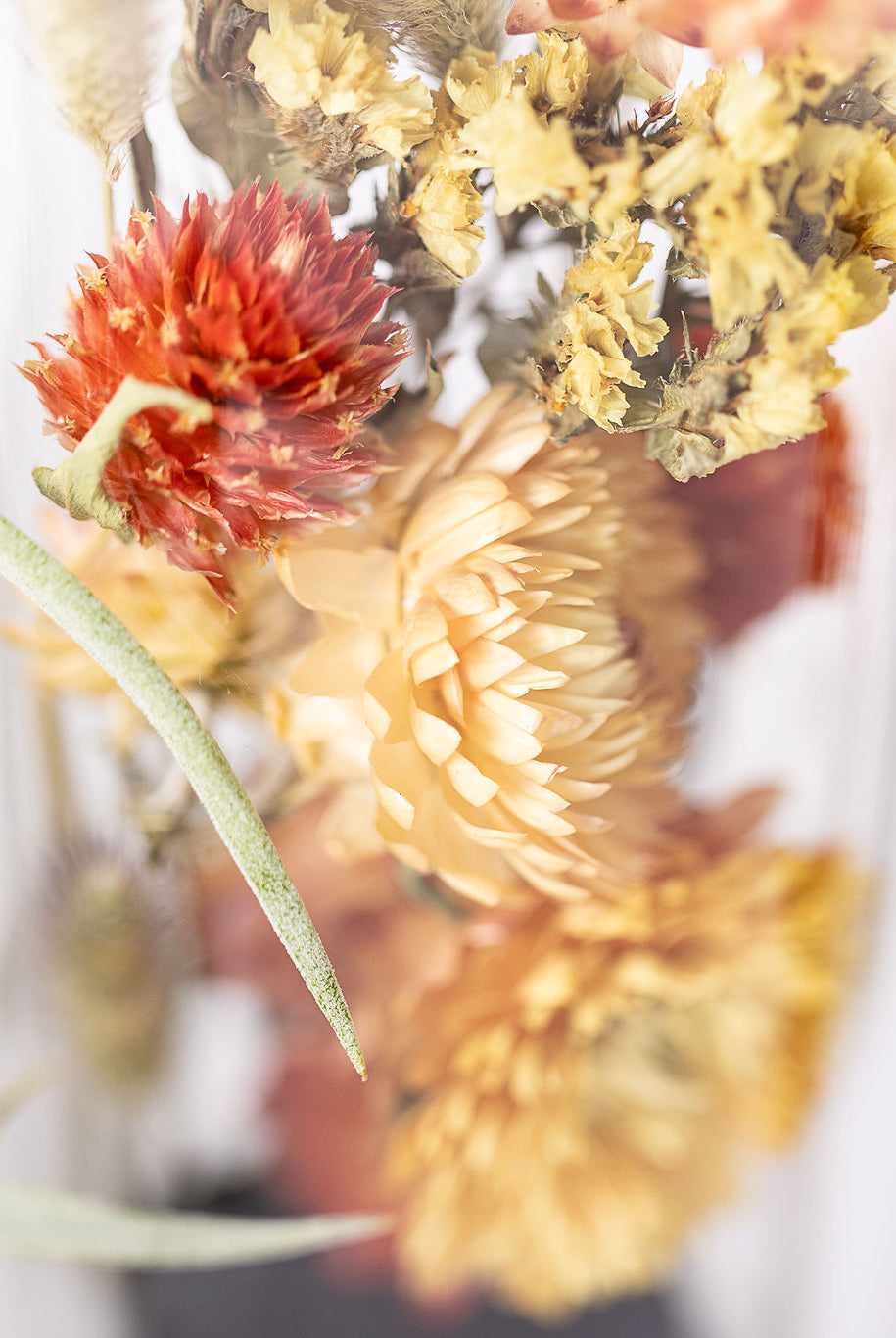 Dried Flower Herbarium - Obsidian Earth Vessel - LARGE - flower detail