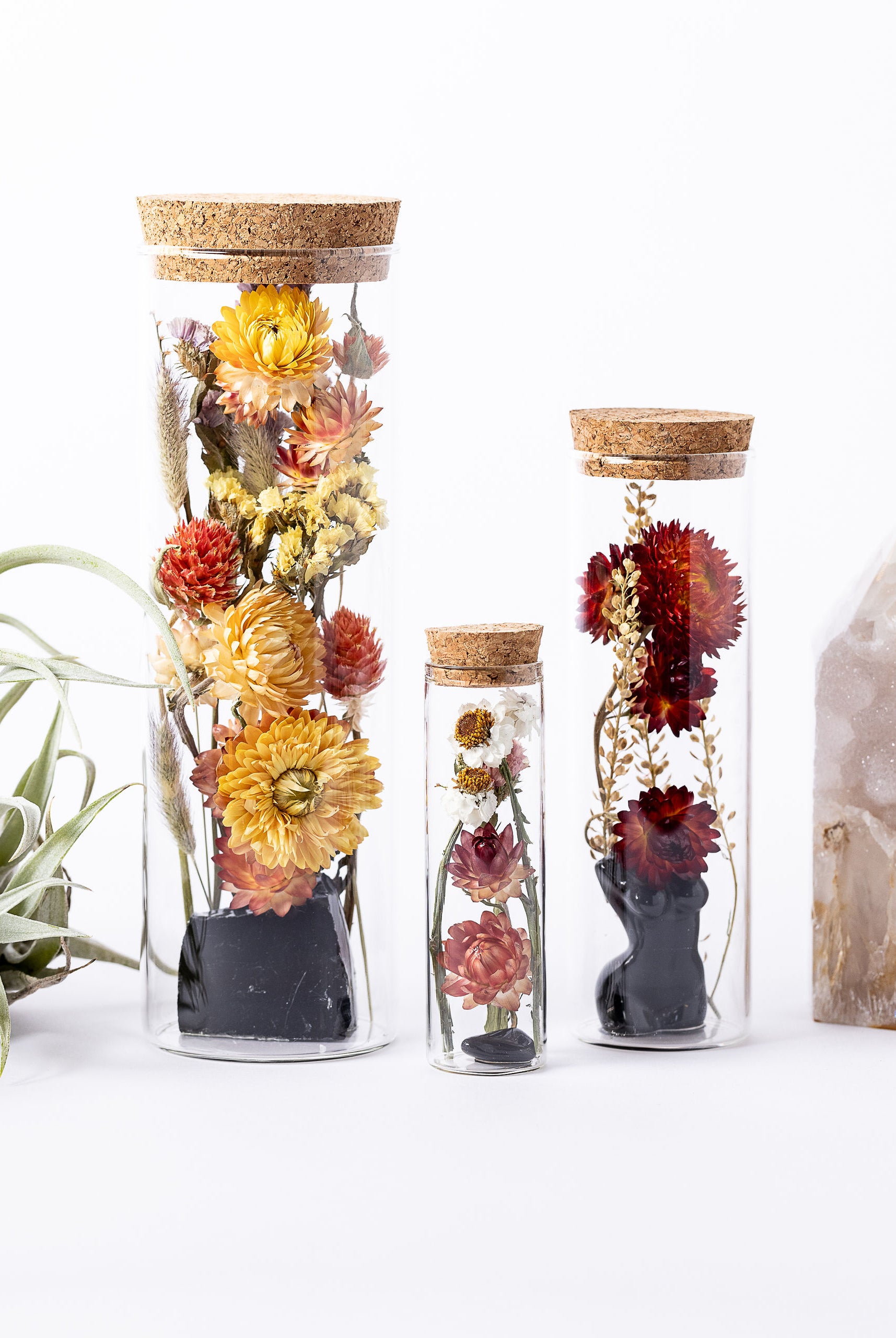 Dried Flower Herbarium - Obsidian Earth Vessel - Size comparison