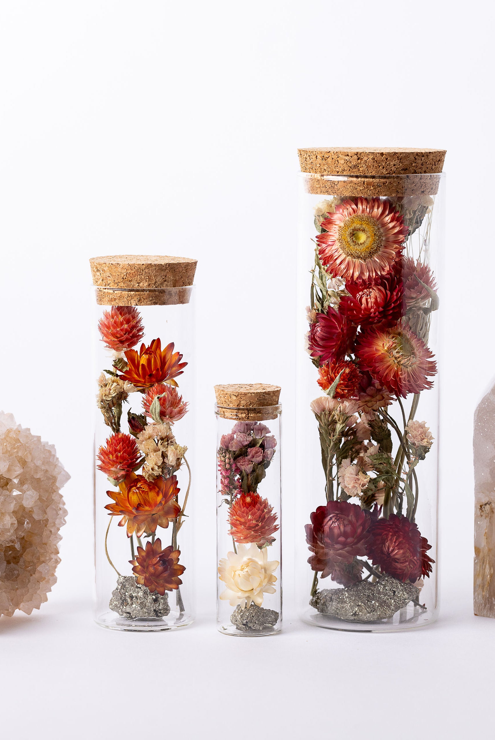 Dried Flower Herbarium - Pyrite Earth Vessel - Size comparison