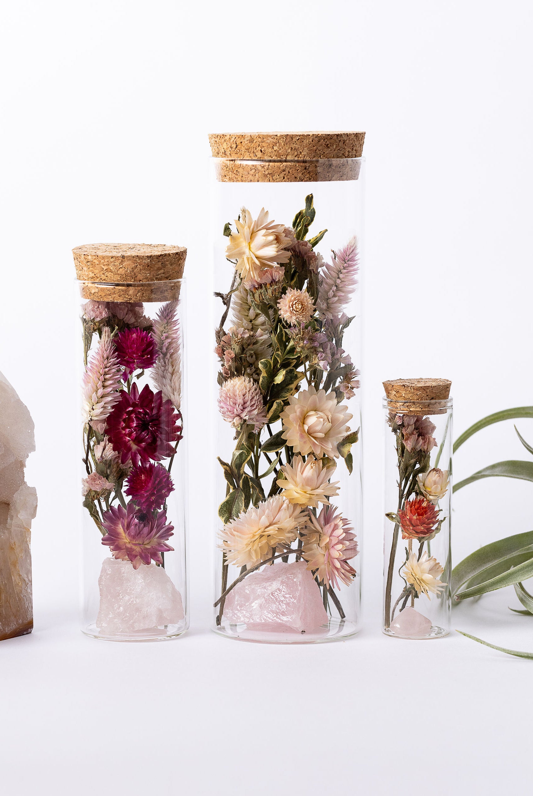 Dried Flower Herbarium - Rose Quartz Earth Vessel - MEDIUM - size comparison