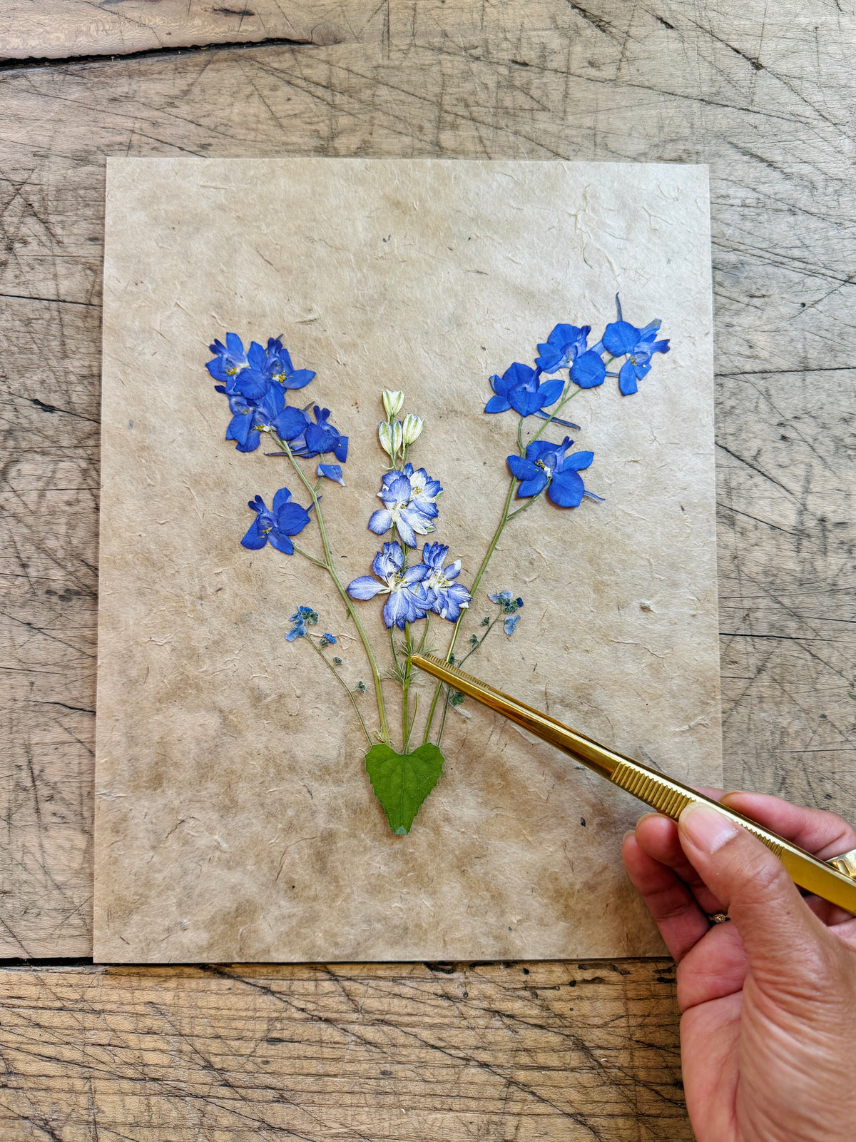 Orchid and pine floral meadow craft