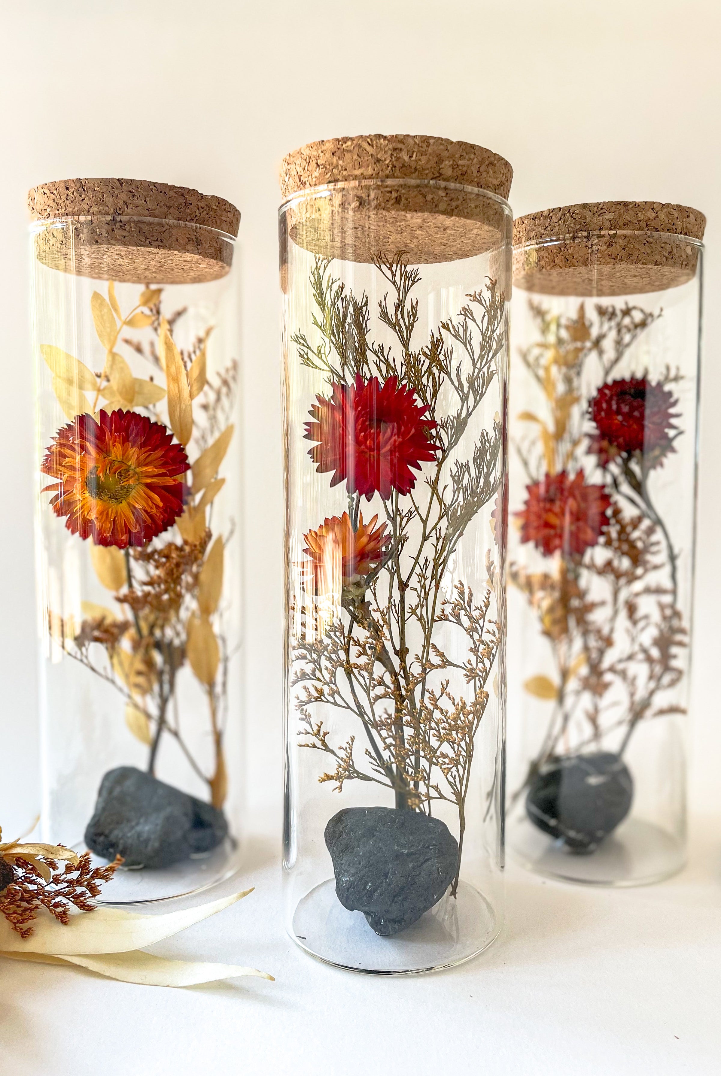 Dried Flower Herbarium - Obsidian Earth Vessel - LARGE - flower variety