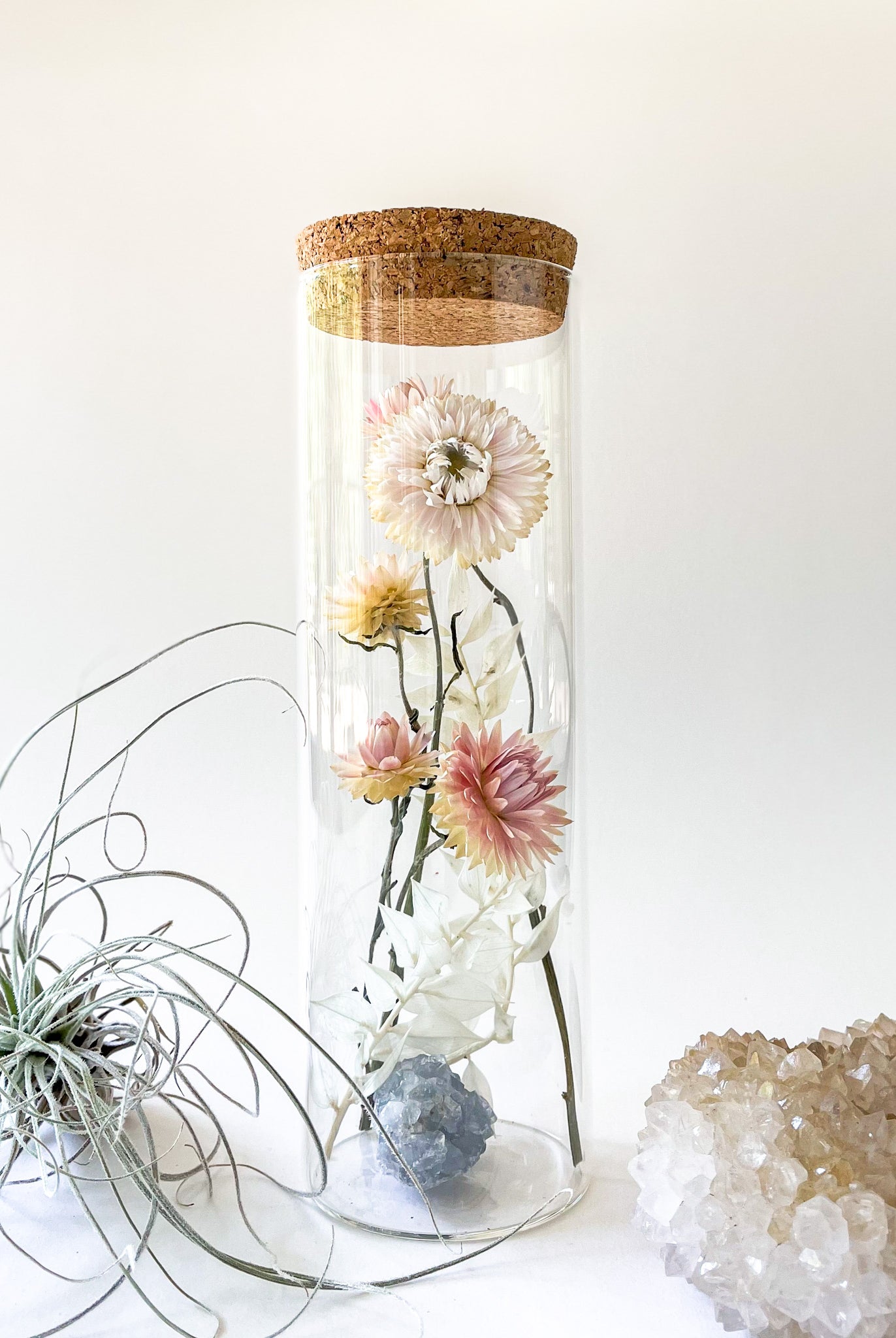 Dried Flower Herbarium - Blue Calcite Earth Vessel - LARGE - with decor