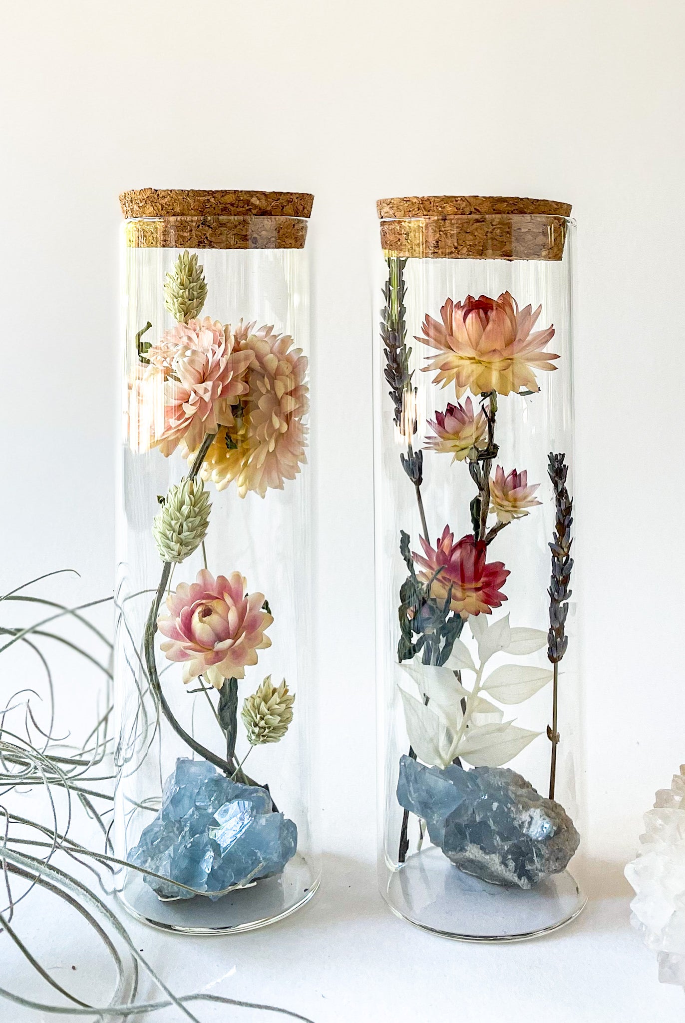Dried Flower Herbarium - Celestite Earth Vessel - MEDIUM - flower variery