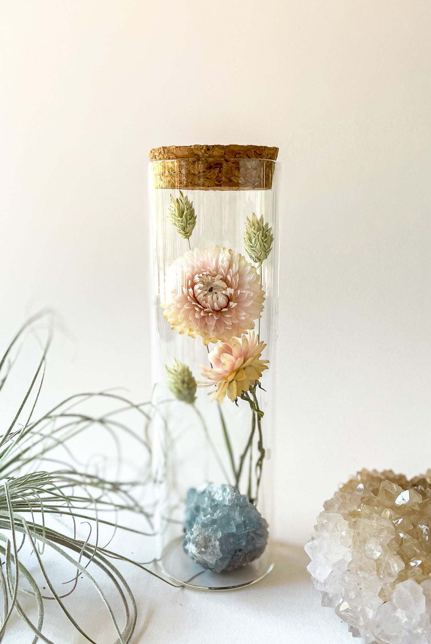 Dried Flower Herbarium - Celestite Earth Vessel - MEDIUM - with decor