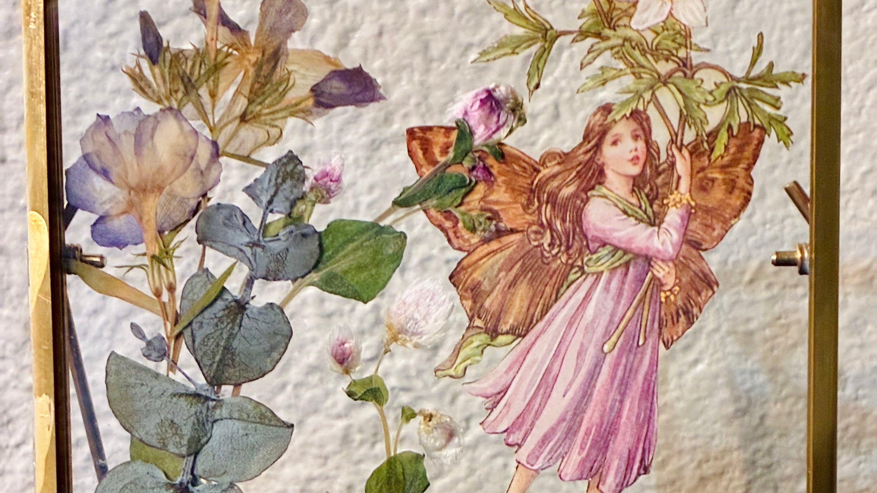 How to Grow & Press: Foolproof Flowers to Press (Spring)