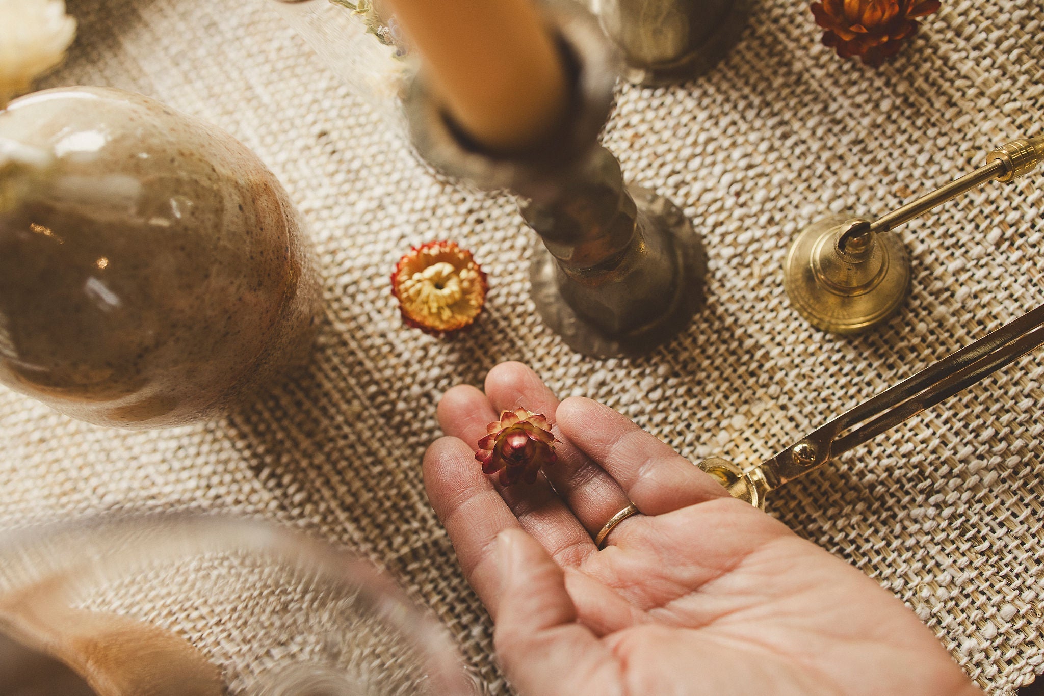 Orchid & Pine Dried Flowers