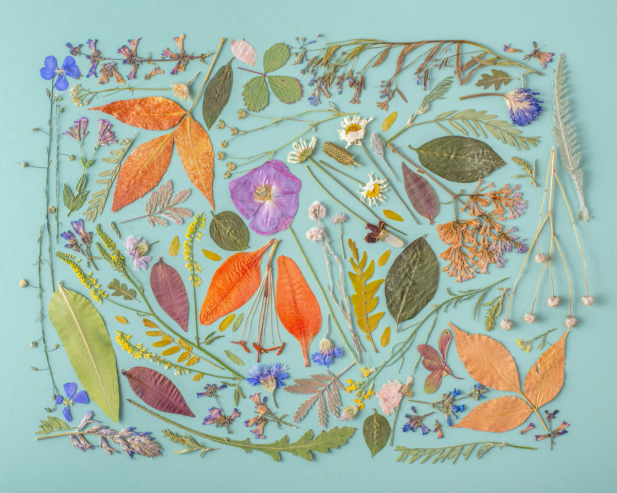 What's the BEST method to preserve flowers?