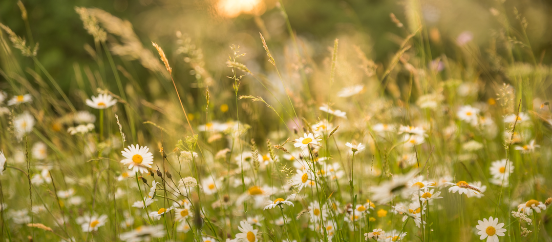 Creating a Space That Loves You Back: The Power of Intentional Design