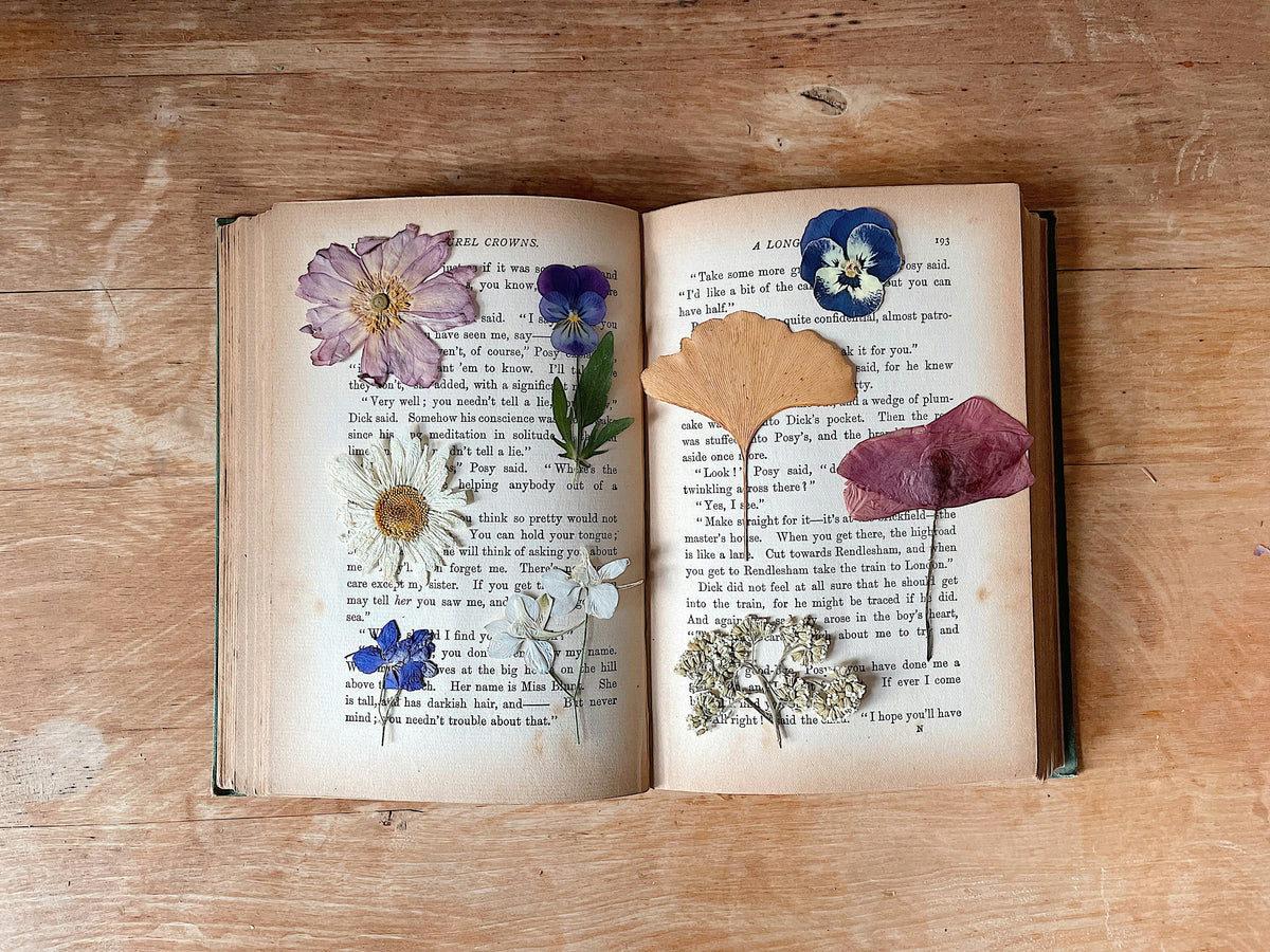 Welcome to the Bloom Journal