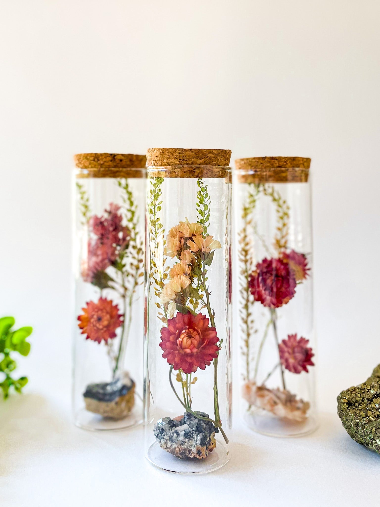 Dried Flower Herbariums - Medium