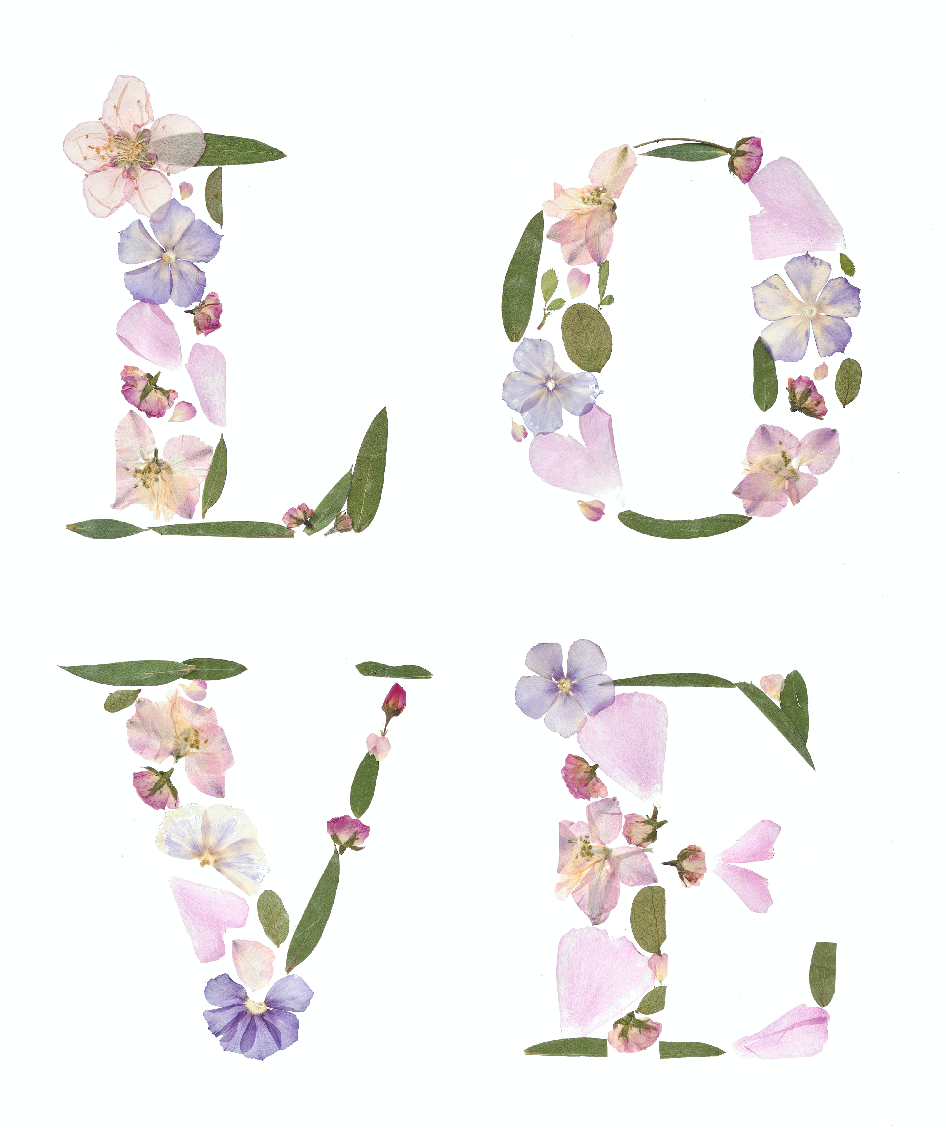 Pressed Floral Art Prints