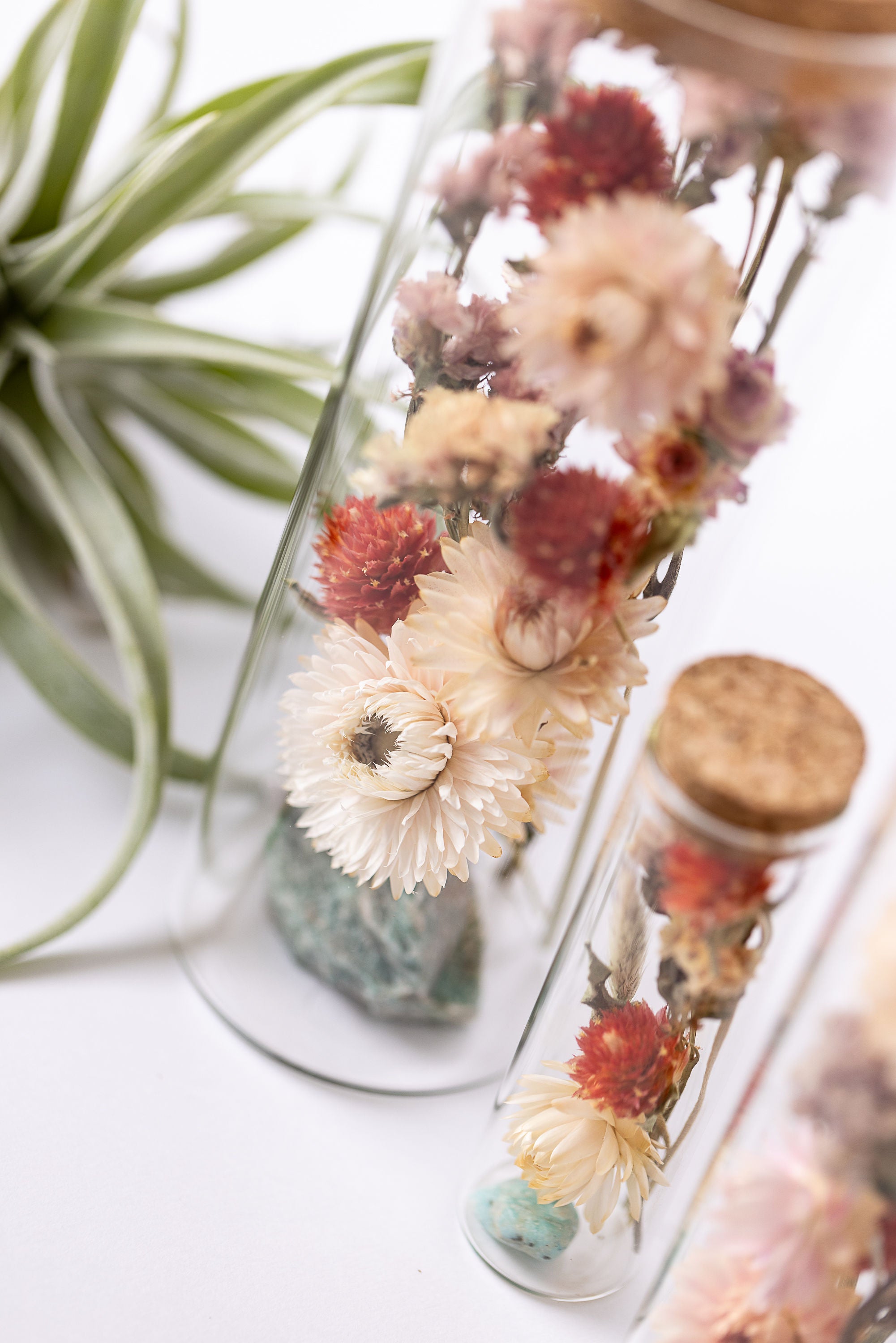 Dried Flower Herbarium - Amazonite Earth Vessel - size comparison