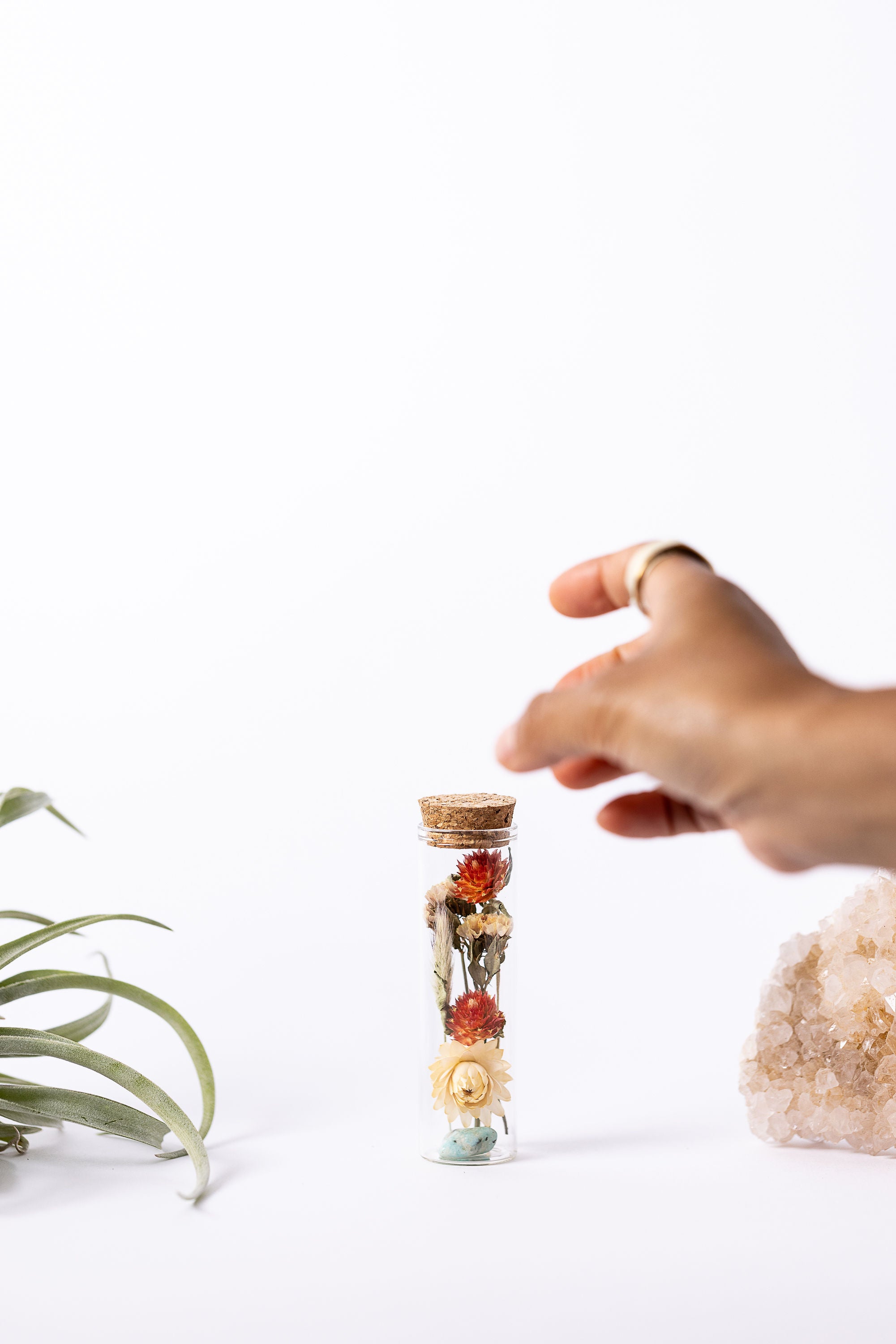 Dried Flower Herbarium - Amazonite Earth Vessel - mini - with hand