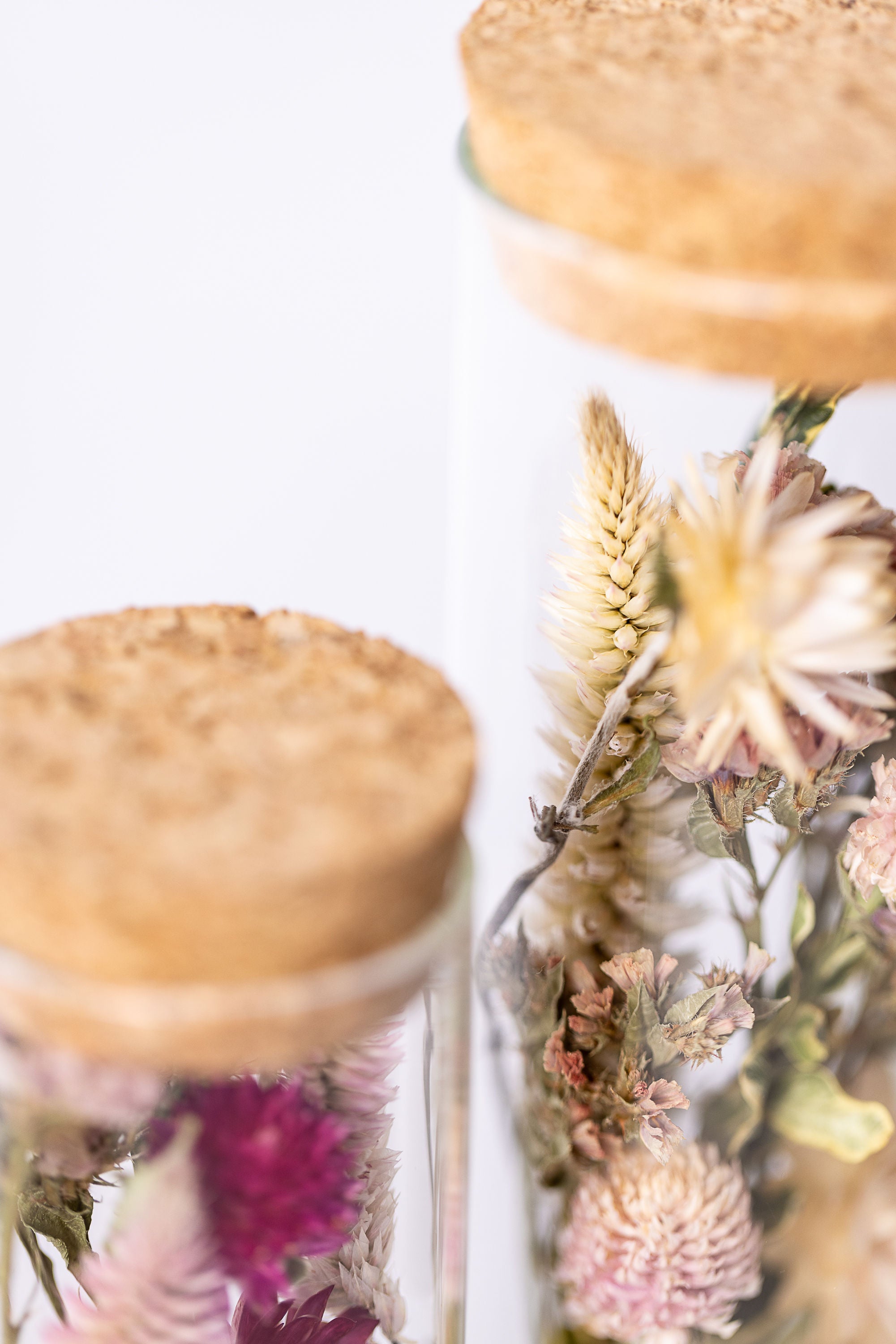 Dried Flower Herbarium - Earth Vessel - flower focus