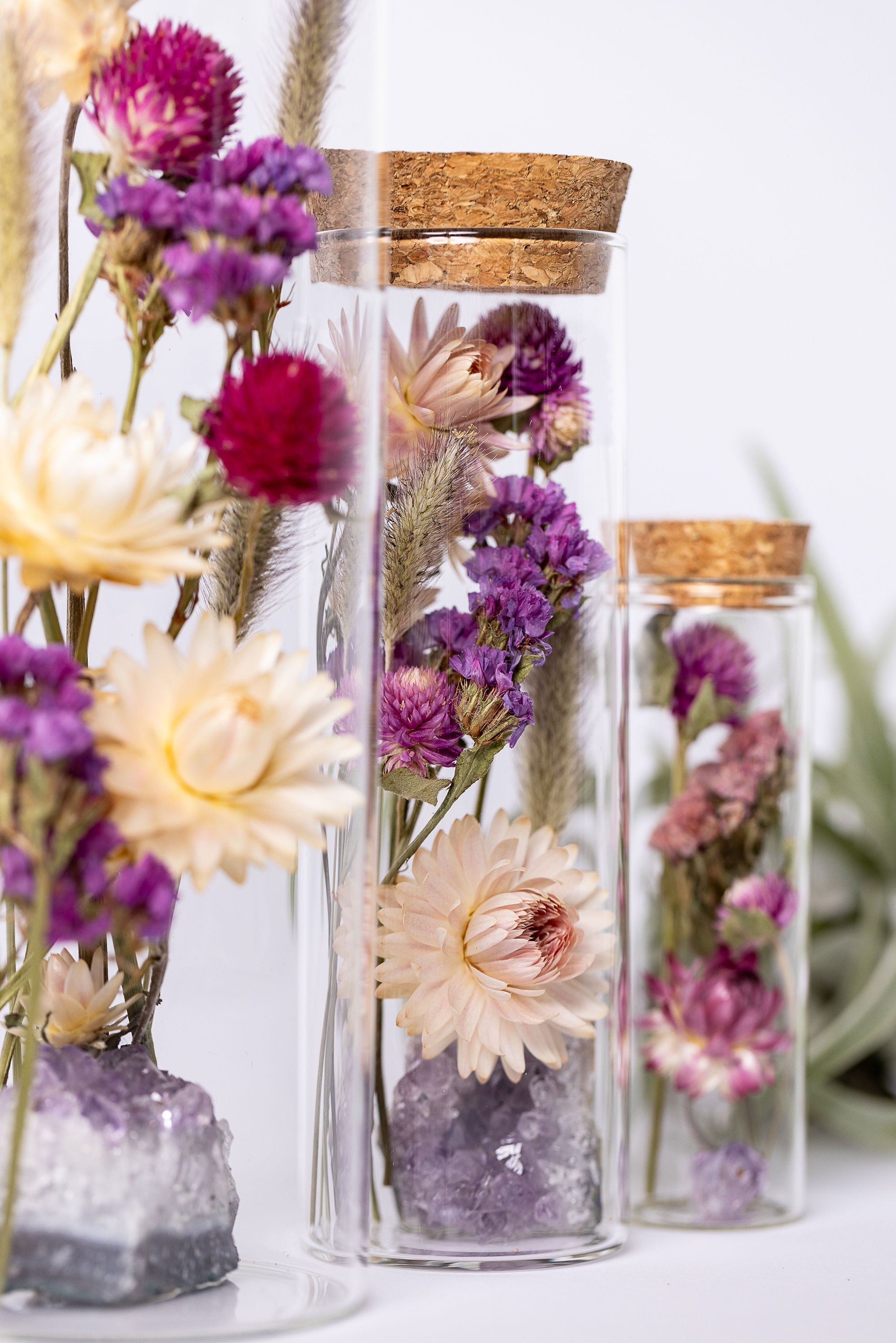 Dried Flower Herbarium - Amethyst Earth Vessel - Size comparison zoomed in