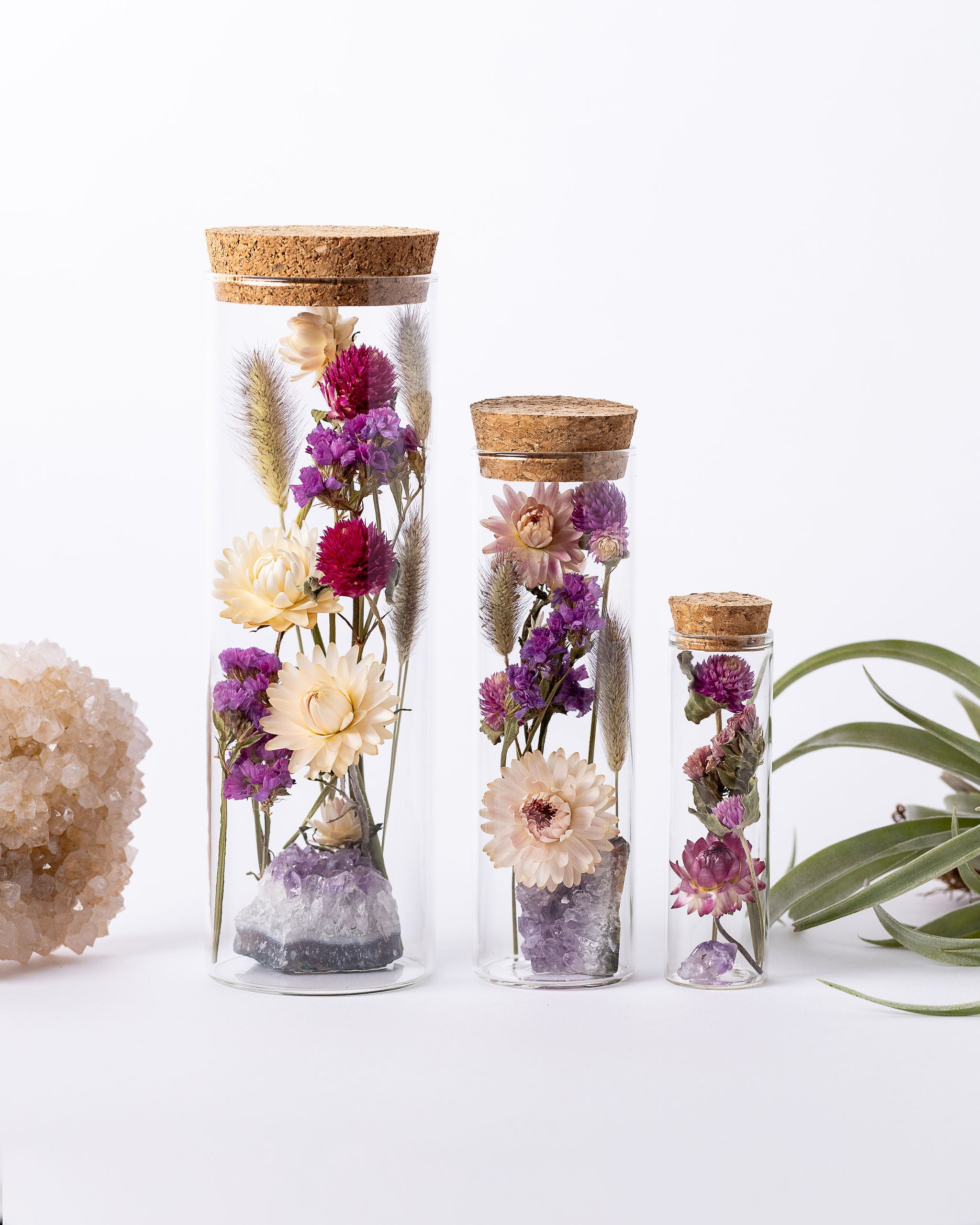 Dried Flower Herbarium - Amethyst Earth Vessel - Size comparison