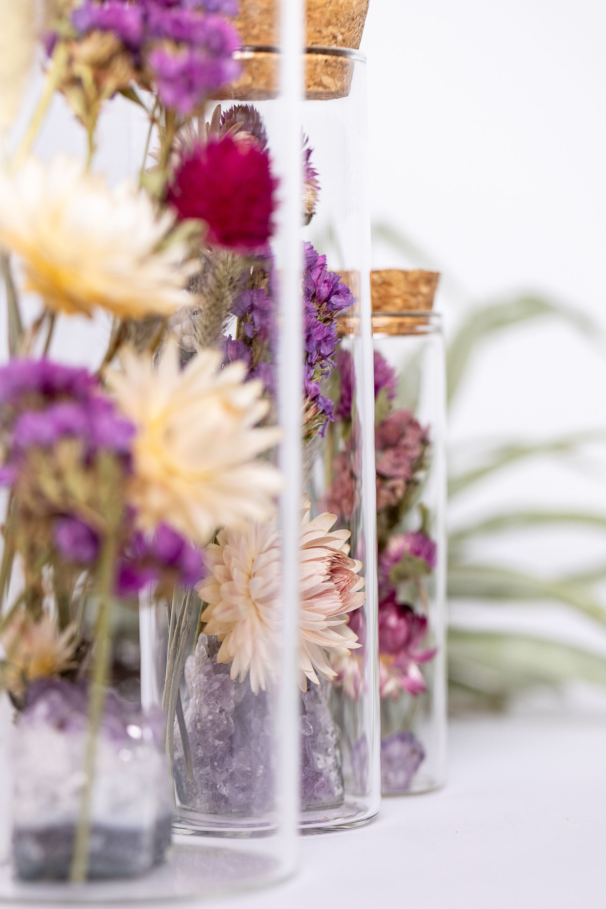 Dried Flower Herbarium - Amethyst Earth Vessel - zoomed in size comparison