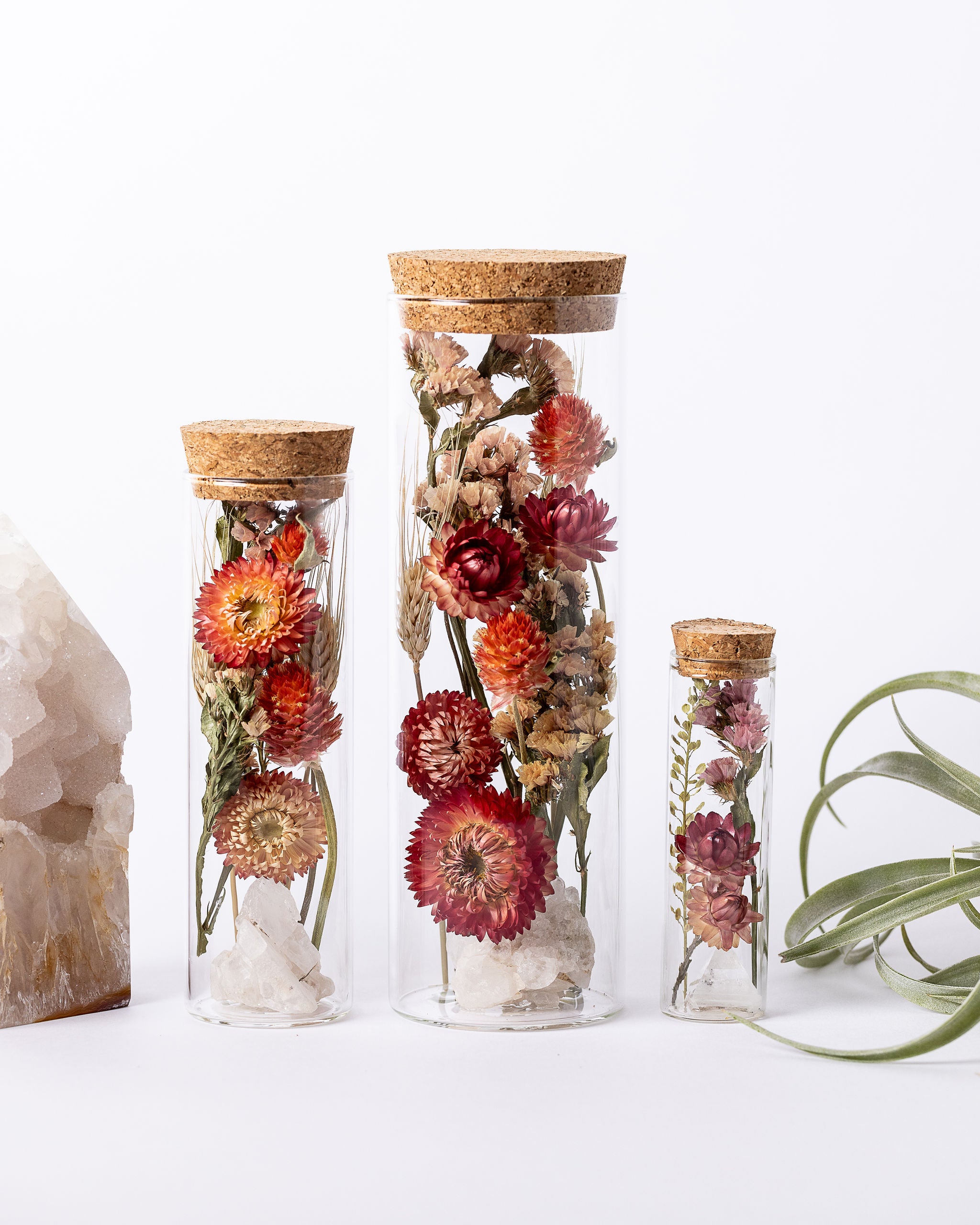 Dried Flower Herbarium - Clear Quartz Cluster Earth Vessel - Size comparison