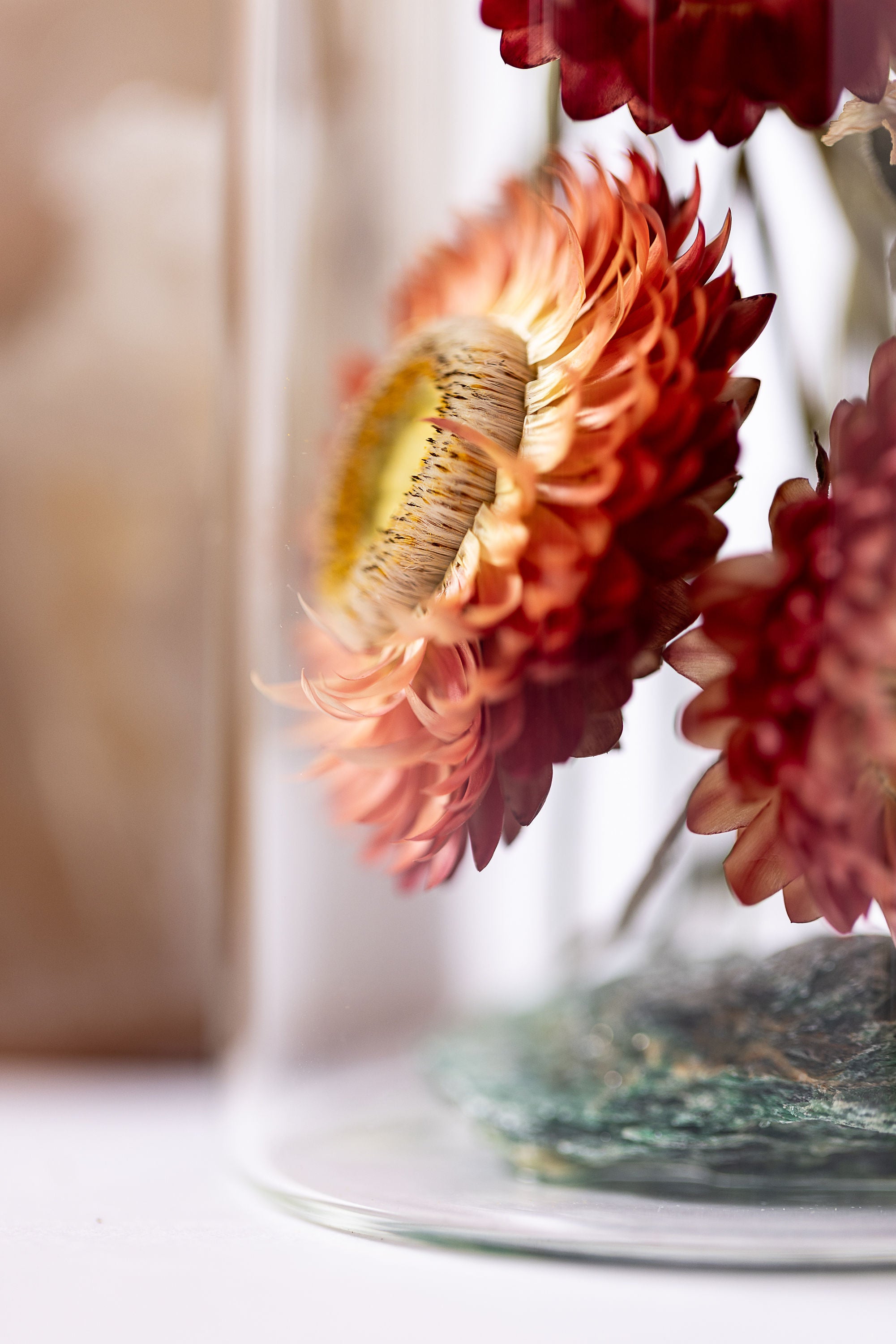 Dried Flower Herbarium - Fuchsite Earth Vessel - LARGE - product detail