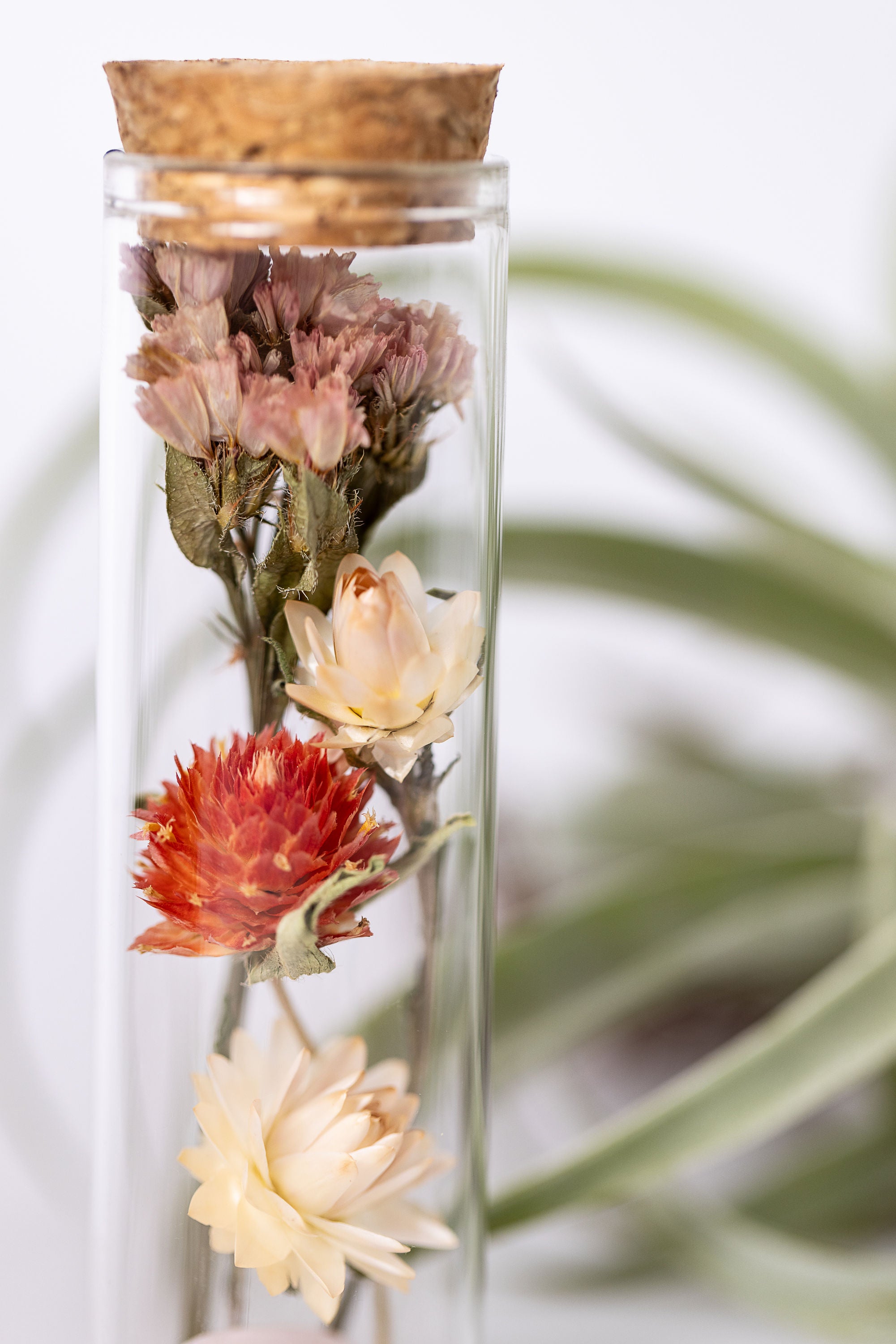 Dried Flower Herbarium - Rose Quartz Earth Vessel - MINI - with decor