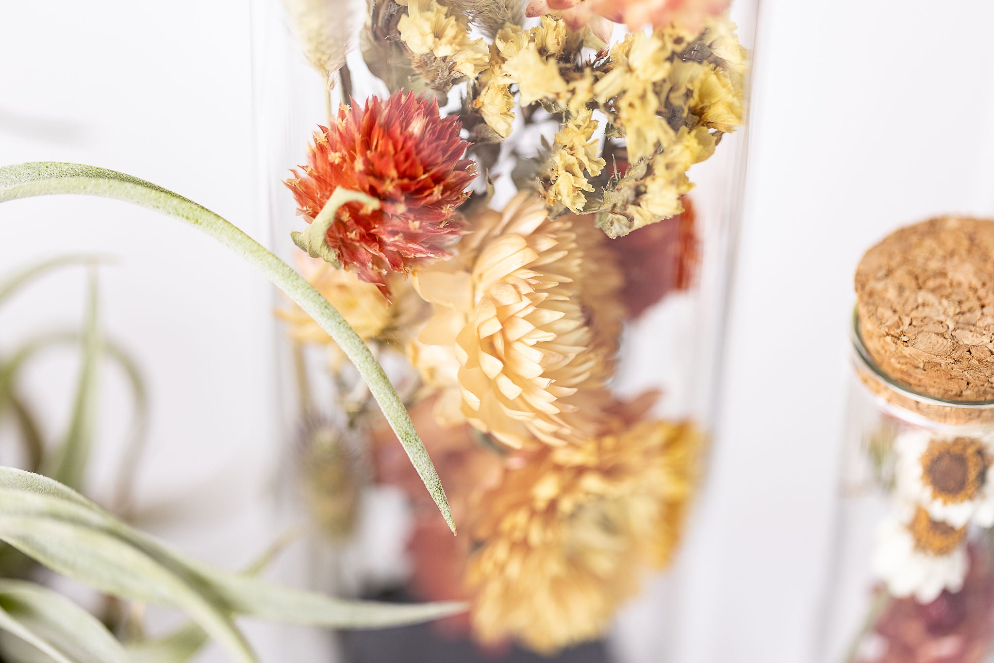 Dried Flower Herbarium - Obsidian Earth Vessel - LARGE - flower detail