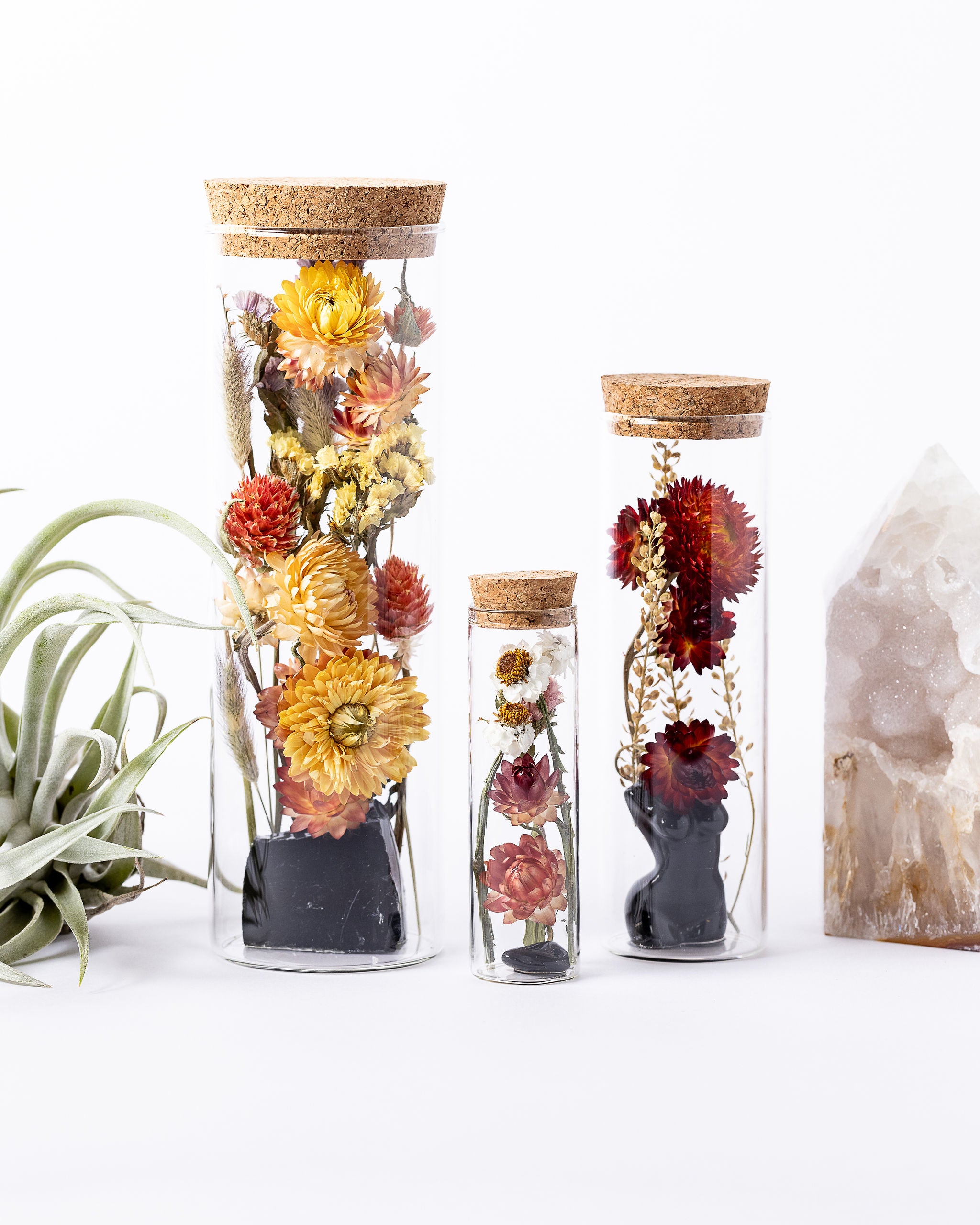 Dried Flower Herbarium - Obsidian Earth Vessel - Size comparison