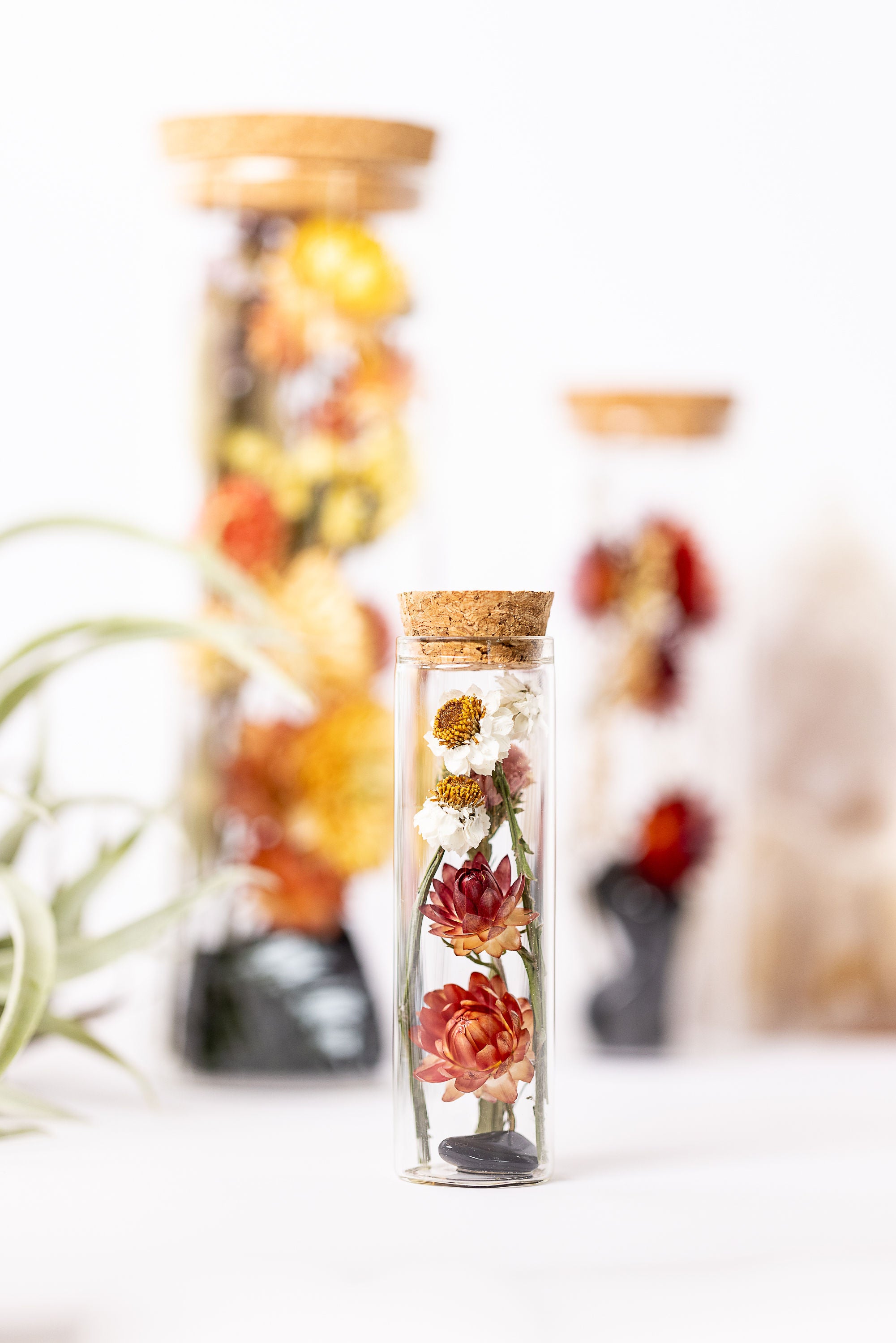 Dried Flower Herbarium - Obsidian Earth Vessel - MINI - size comparison