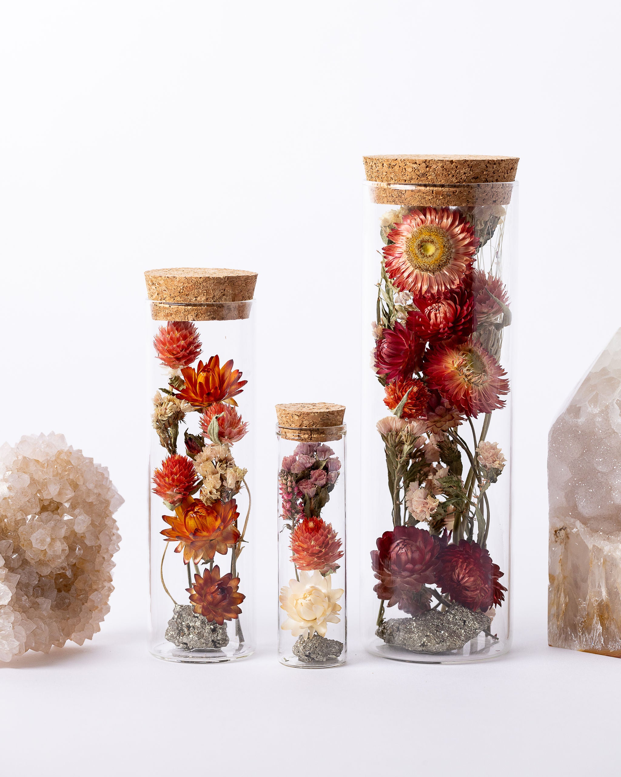 Dried Flower Herbarium - Pyrite Earth Vessel - Size comparison