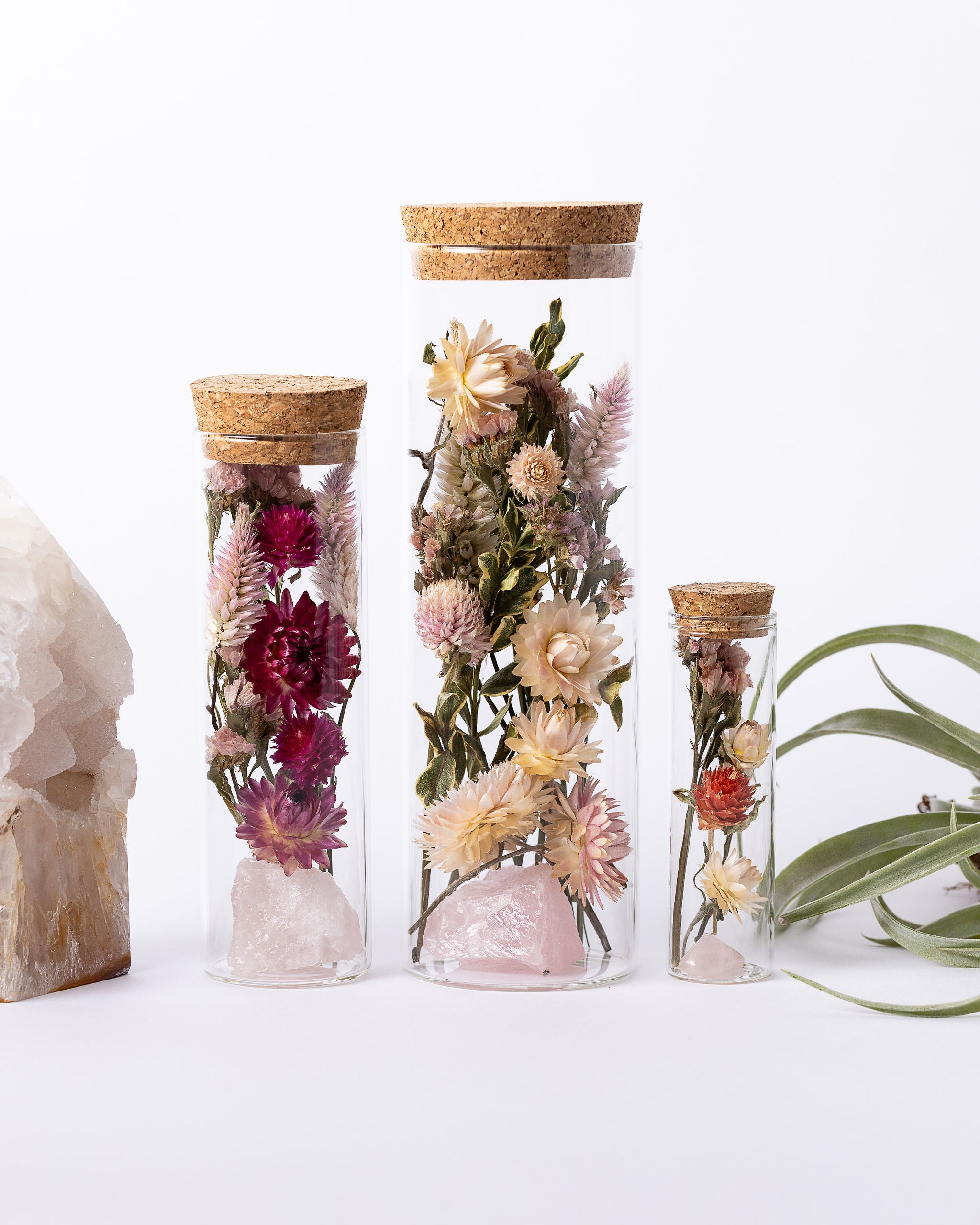 Dried Flower Herbarium - Rose Quartz Earth Vessel - MEDIUM - size comparison