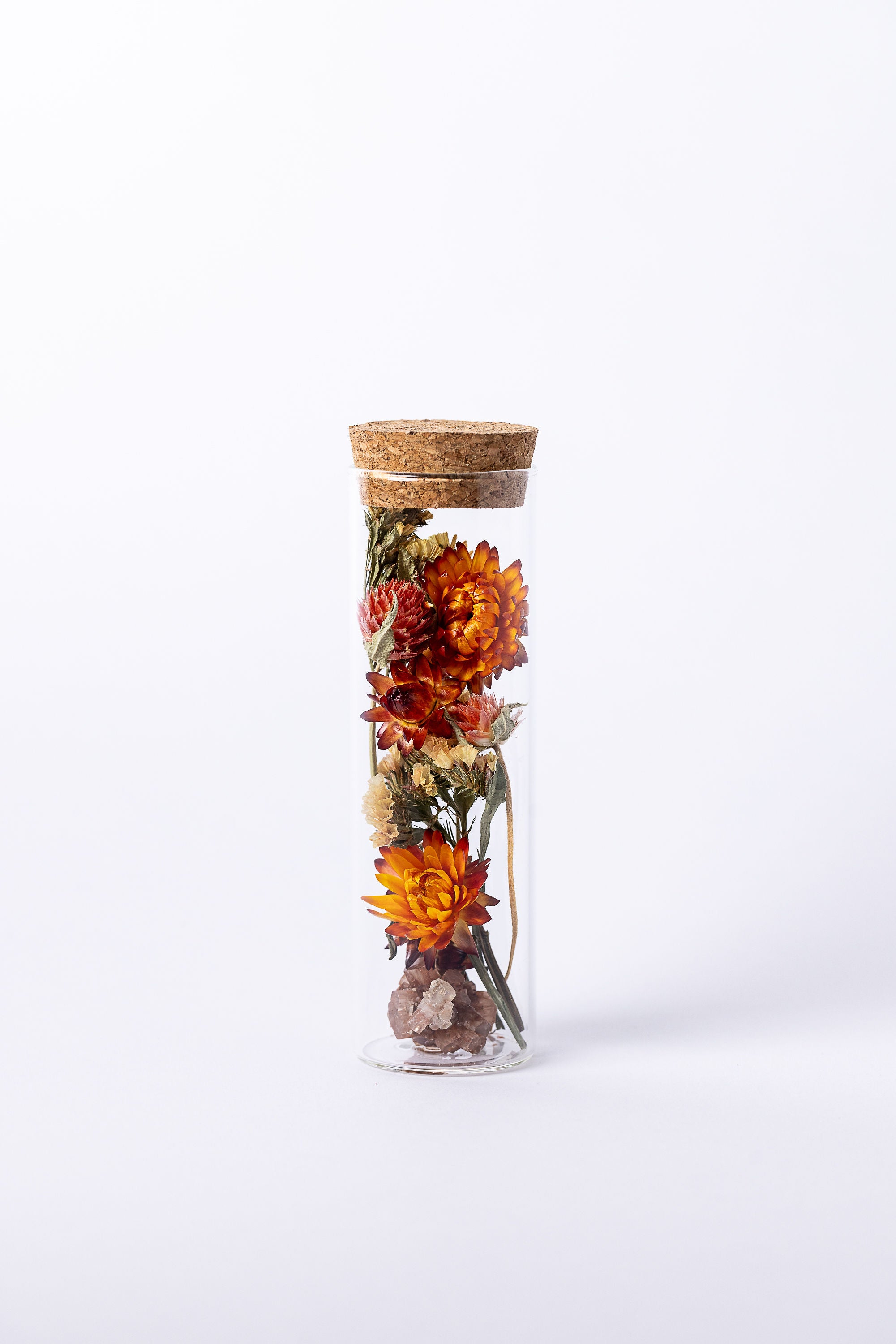 Dried Flower Herbarium - Aragonite Star Cluster Earth Vessel - MEDIUM