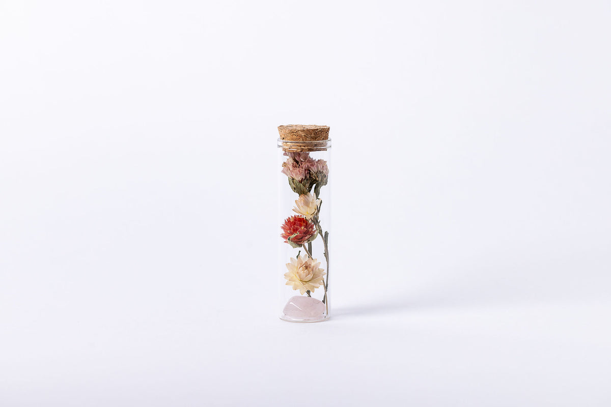 Dried Flower Herbarium - Rose Quartz Earth Vessel - MINI - with hand