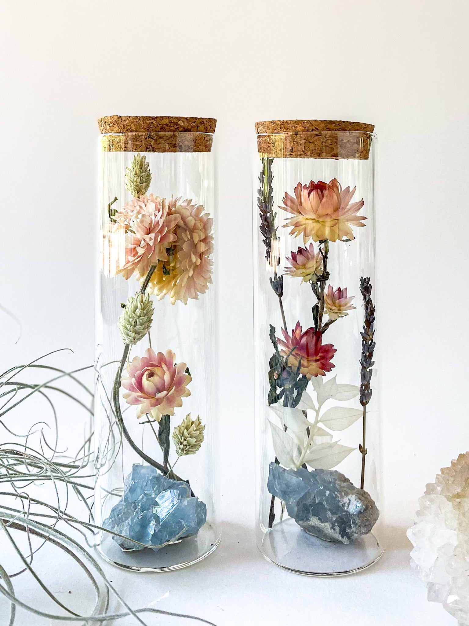 Dried Flower Herbarium - Celestite Earth Vessel - MEDIUM - flower variery