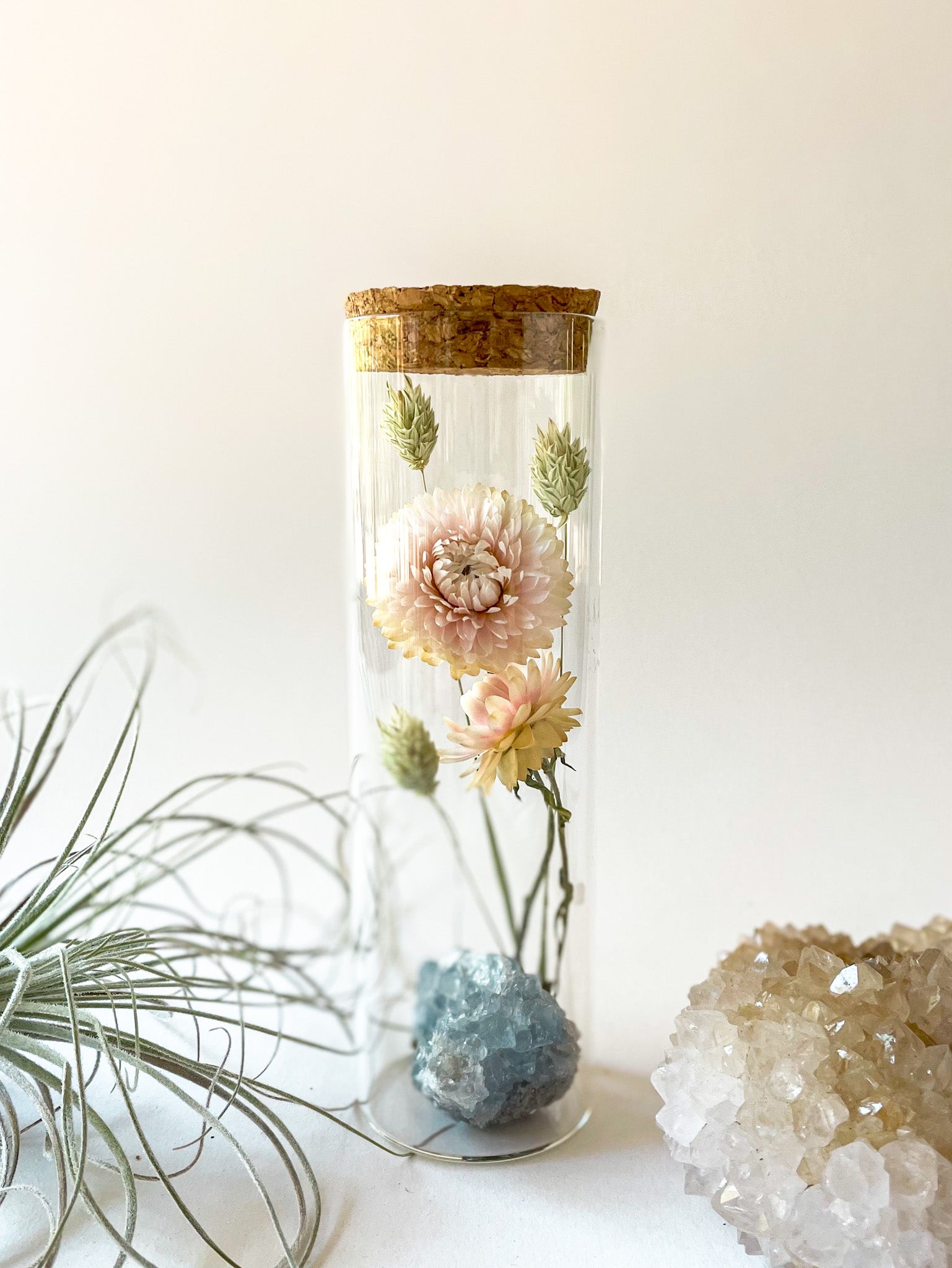 Dried Flower Herbarium - Celestite Earth Vessel - MEDIUM - with decor